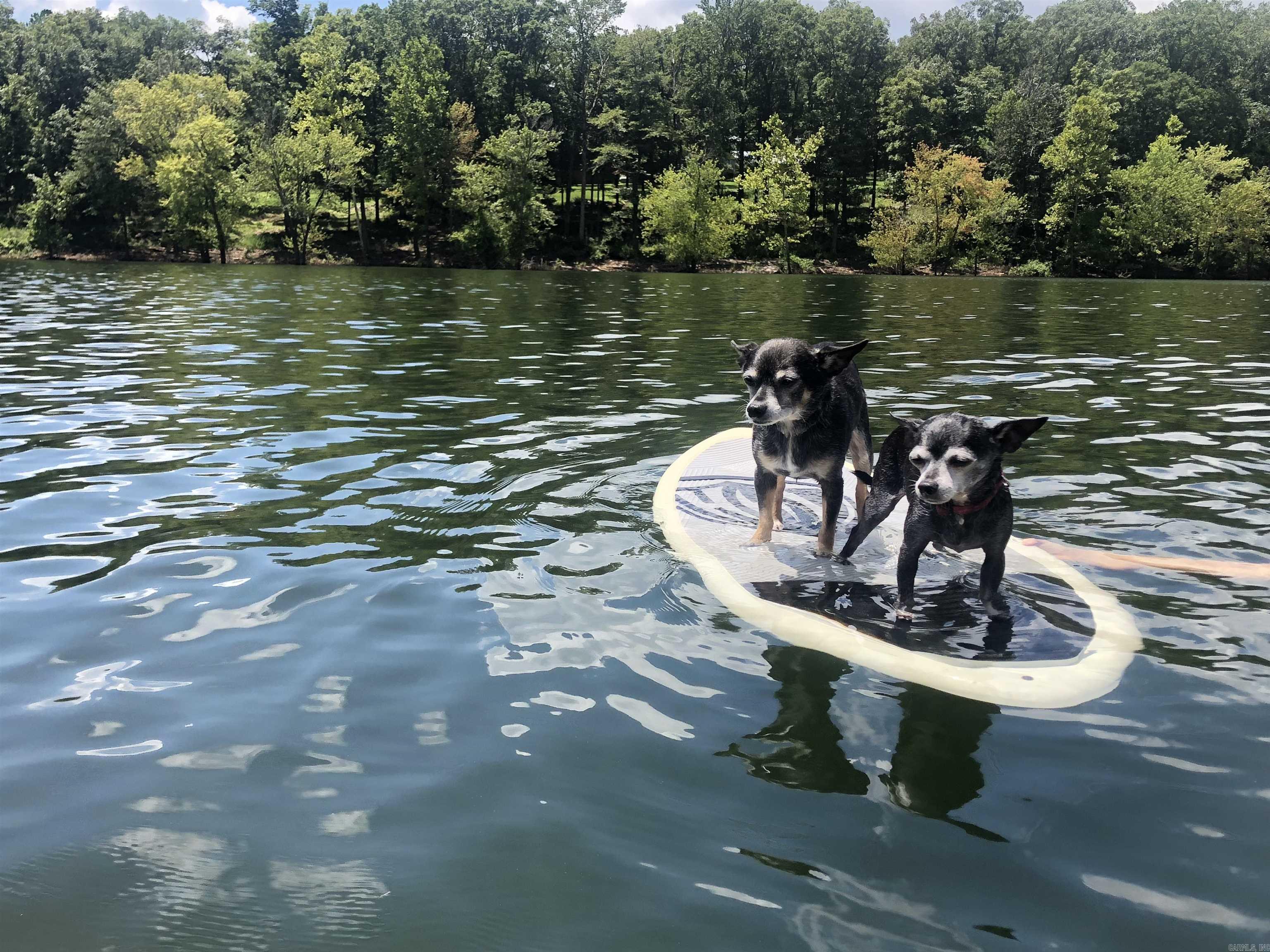 00 Mayhand Shirley, AR 72153