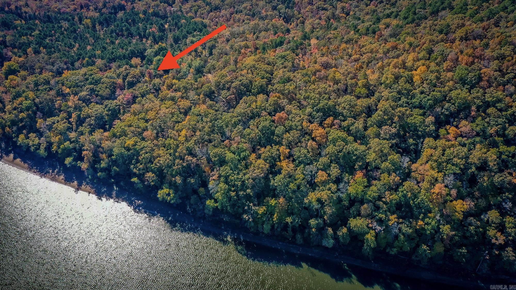 00 Mayhand Shirley, AR 72153