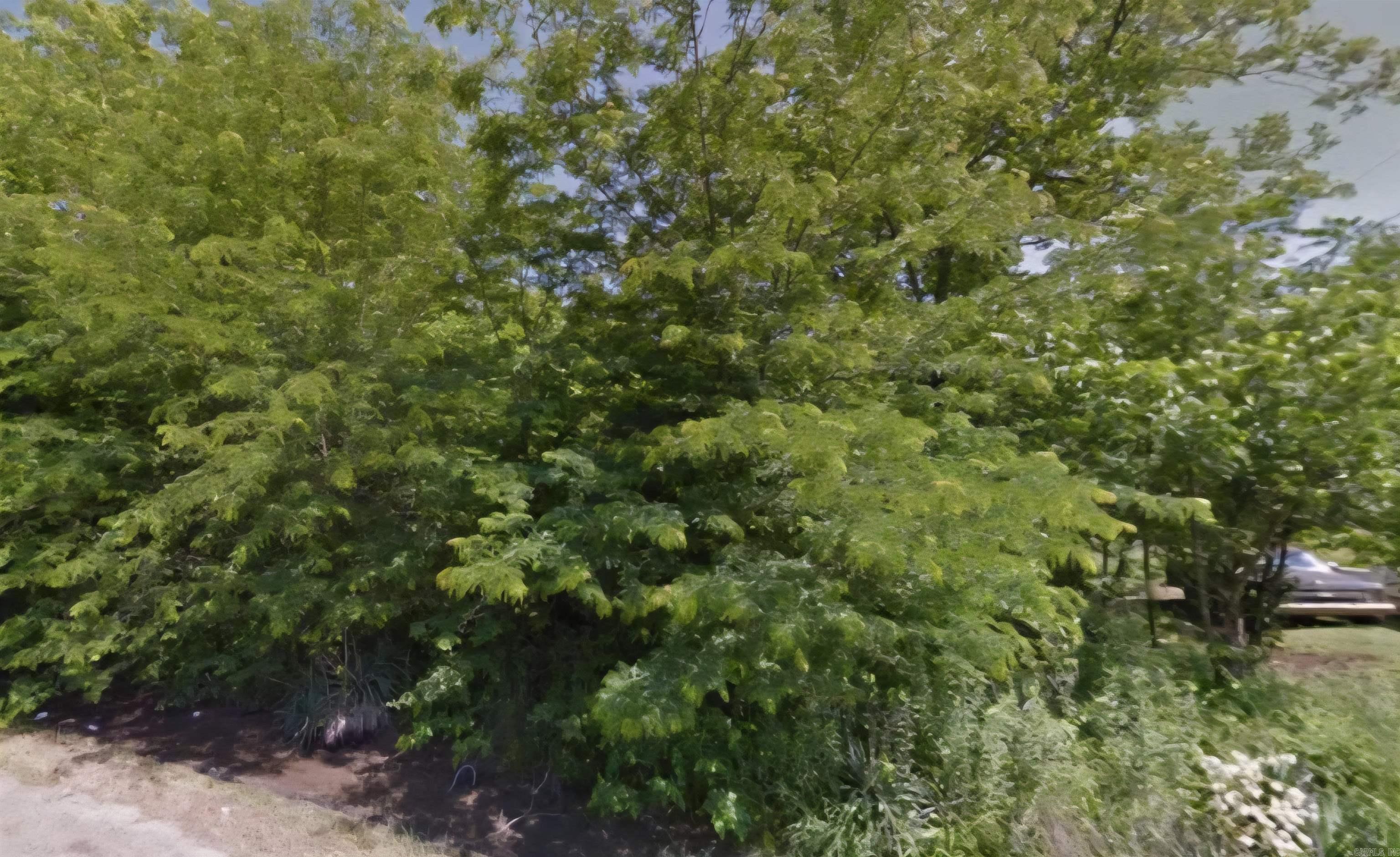 904 Elk  Dermott, AR