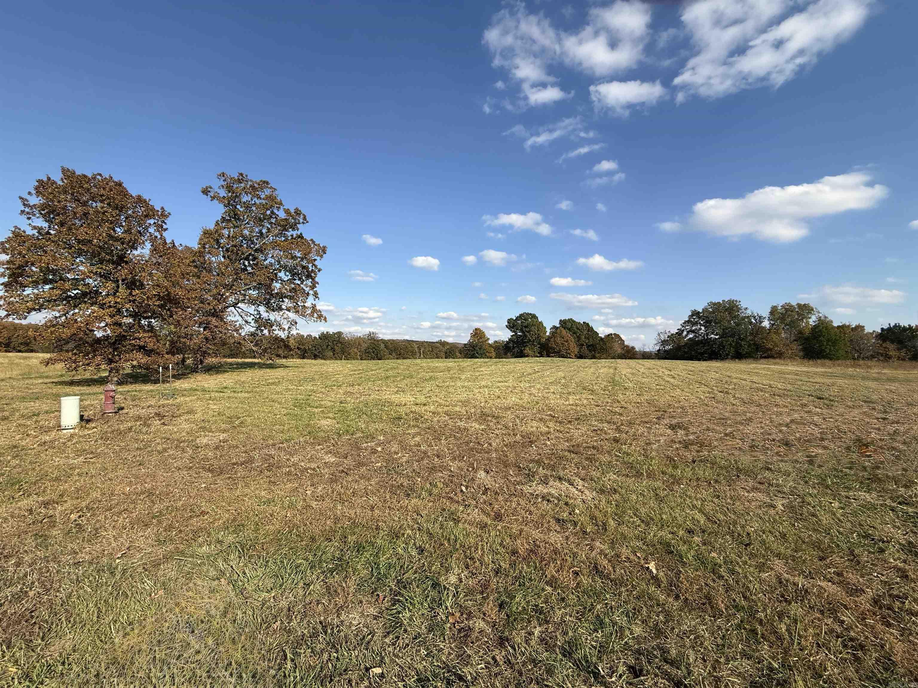 91 Valley Ranch  Mayflower, AR