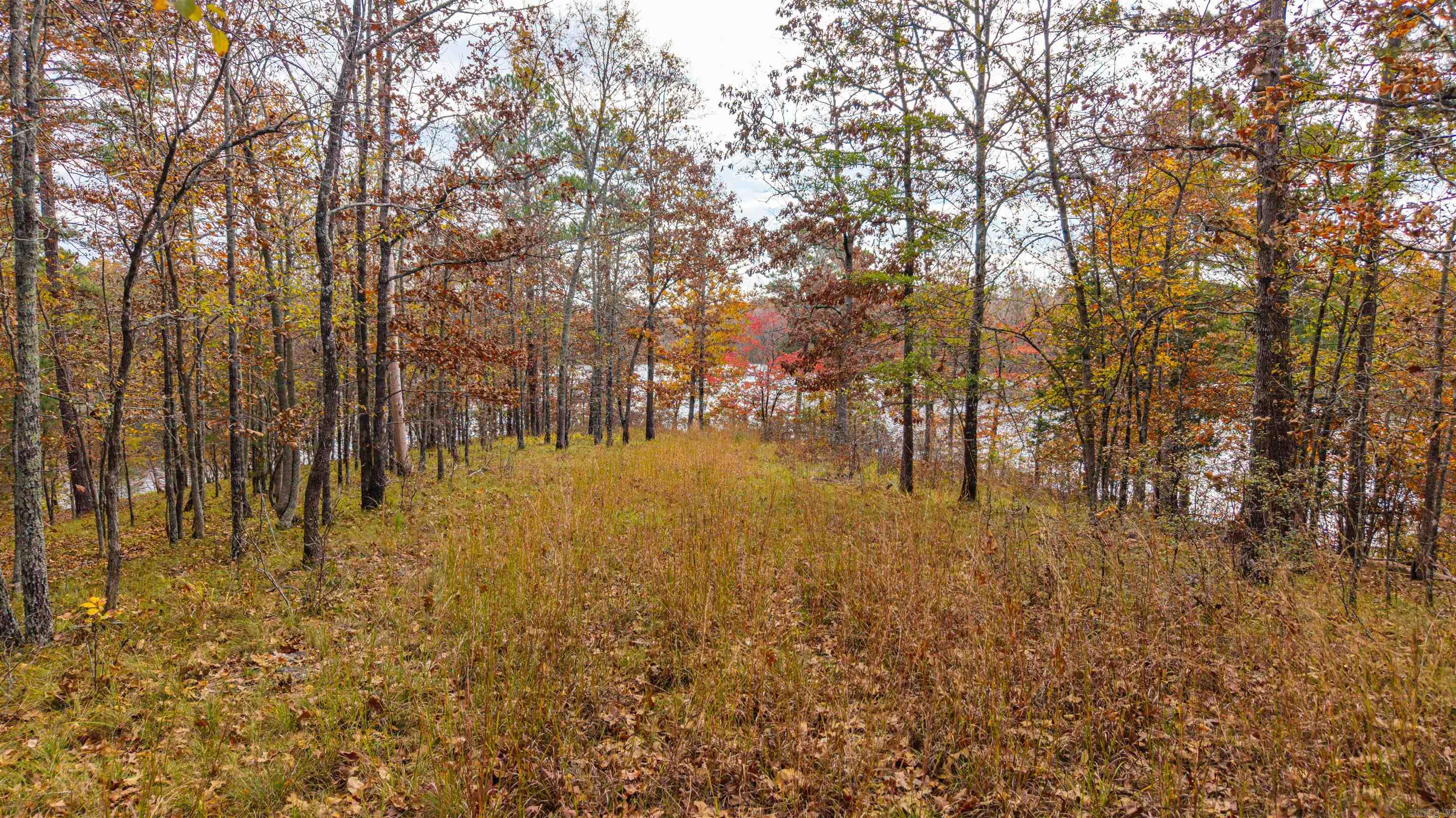 238 Dellmere  Hot Springs, AR