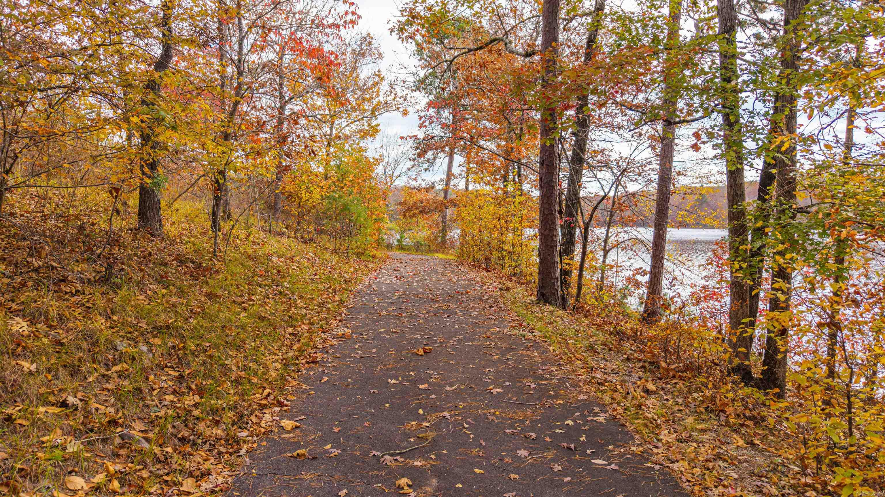 238 Dellmere  Hot Springs, AR