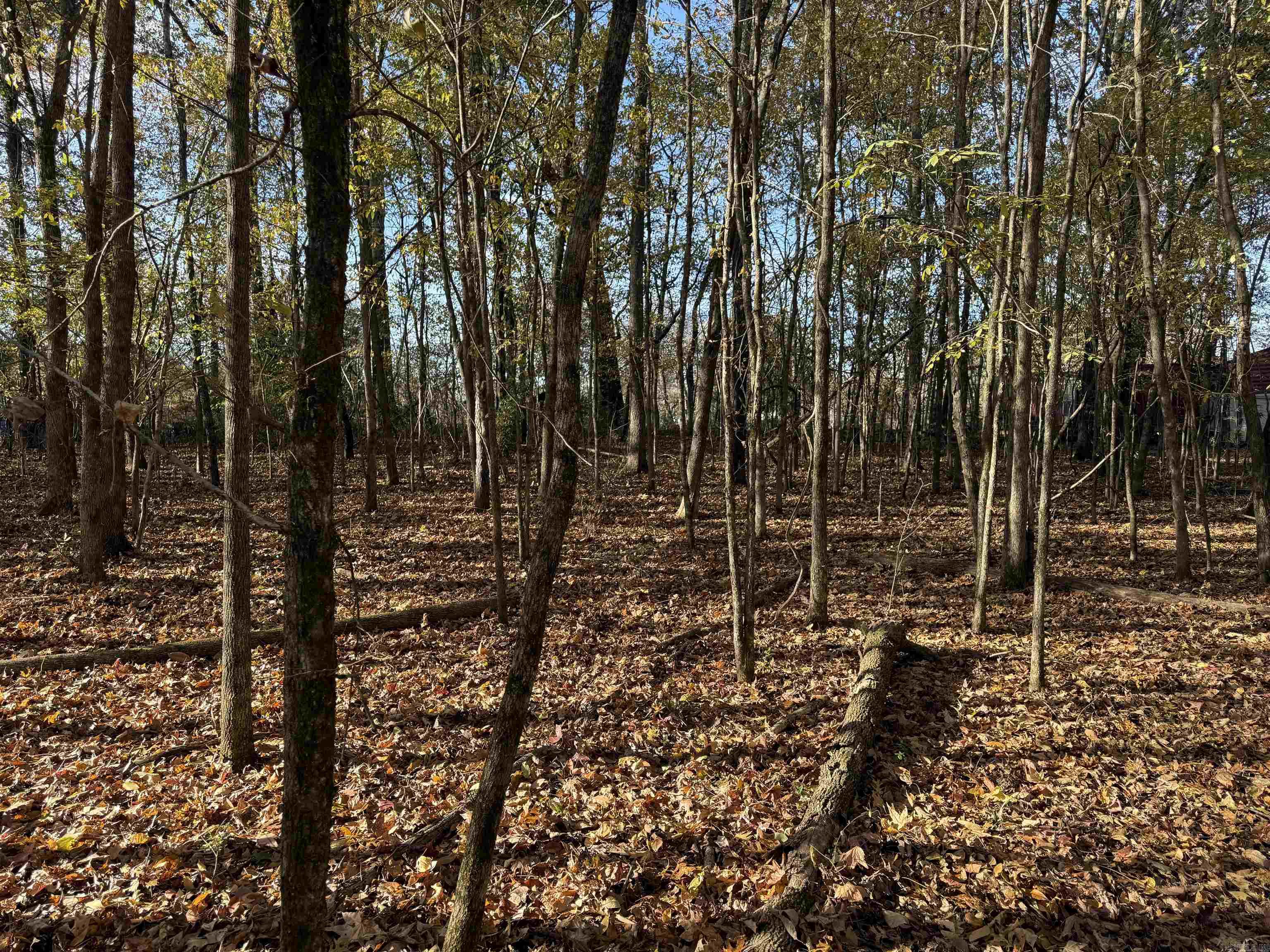 250 Gardner  Heber Springs, AR