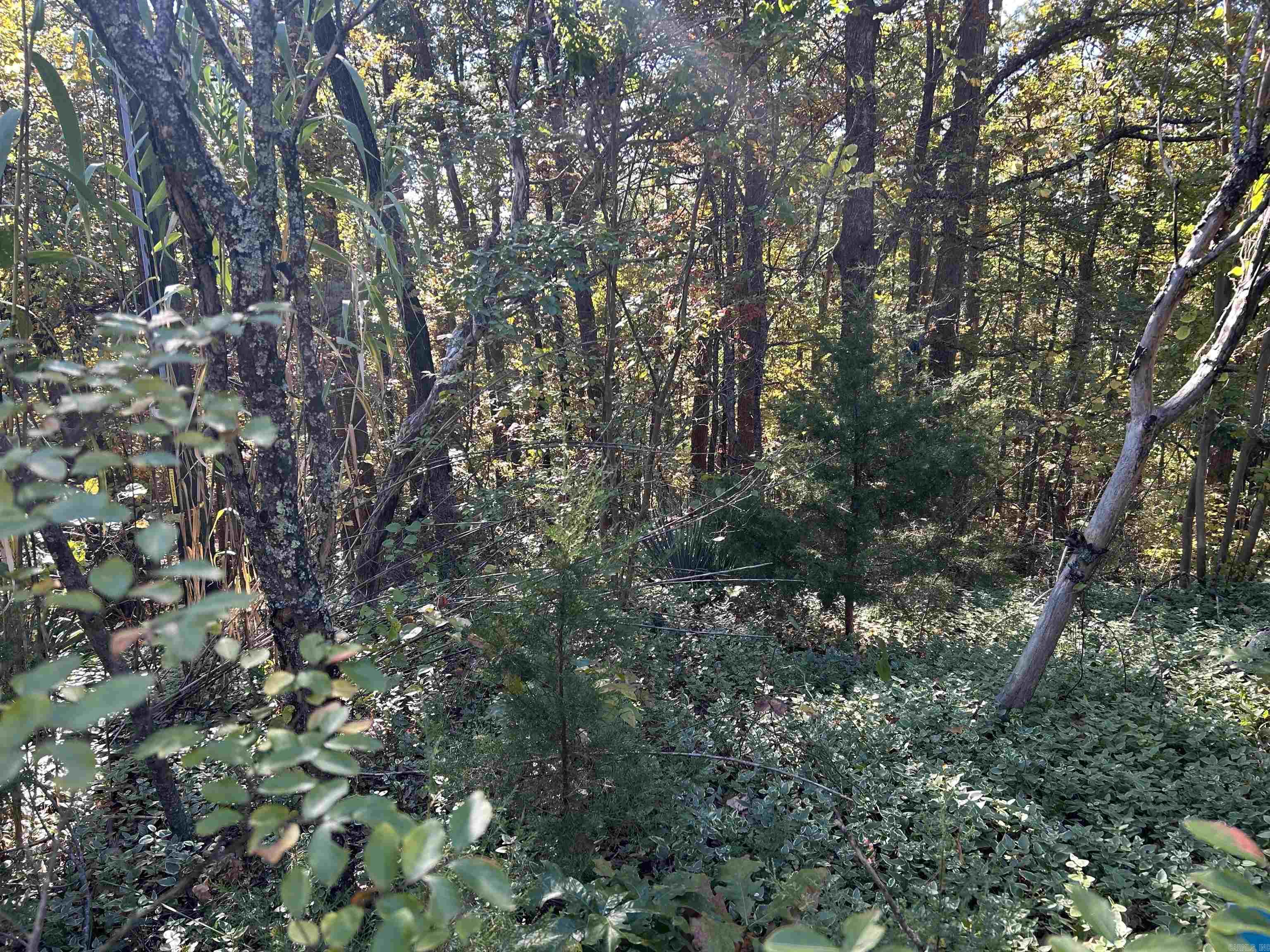 173 Quiet Bend  Fairfield, AR