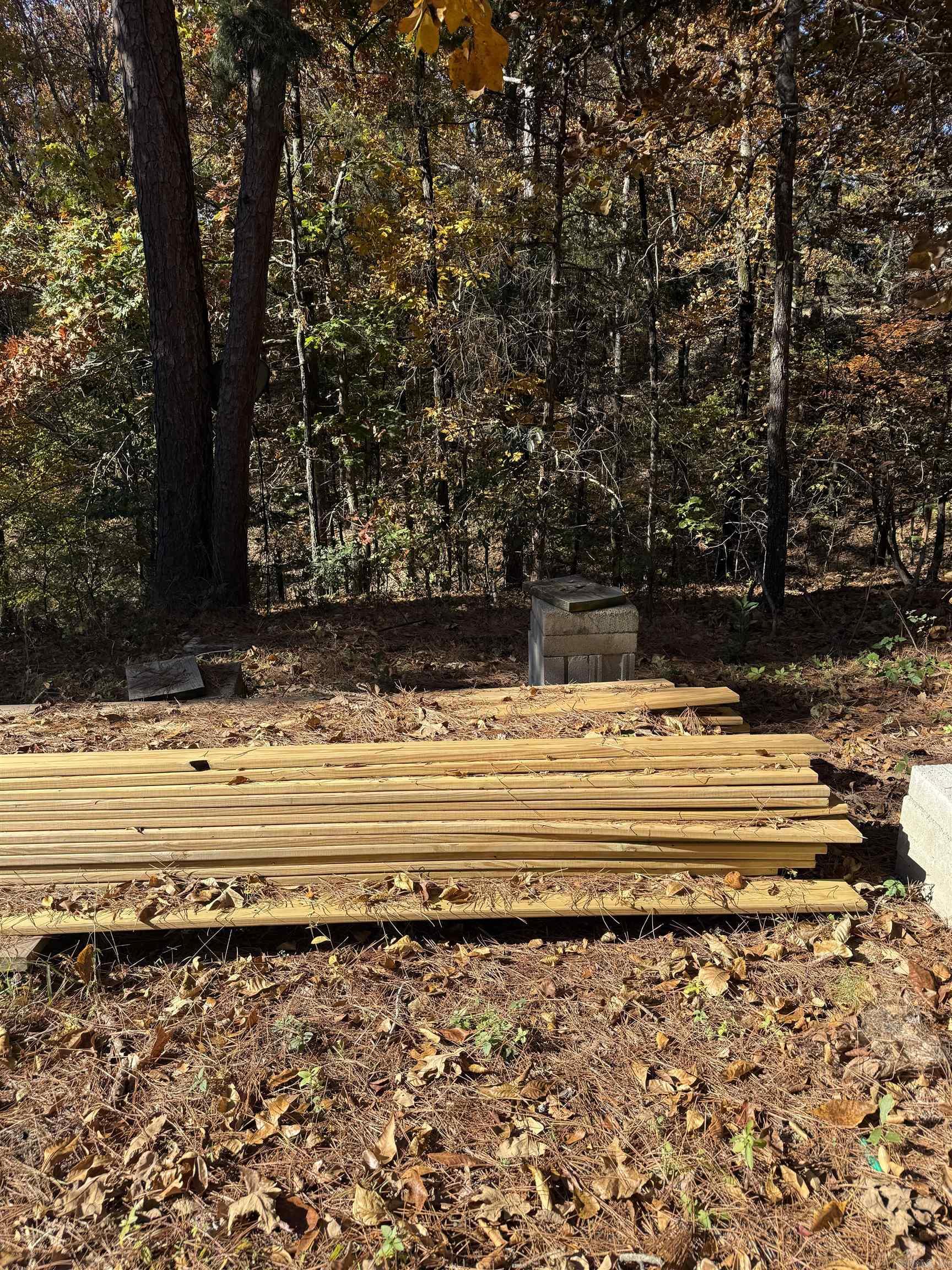 48 Rose Circle Drasco, AR 72530