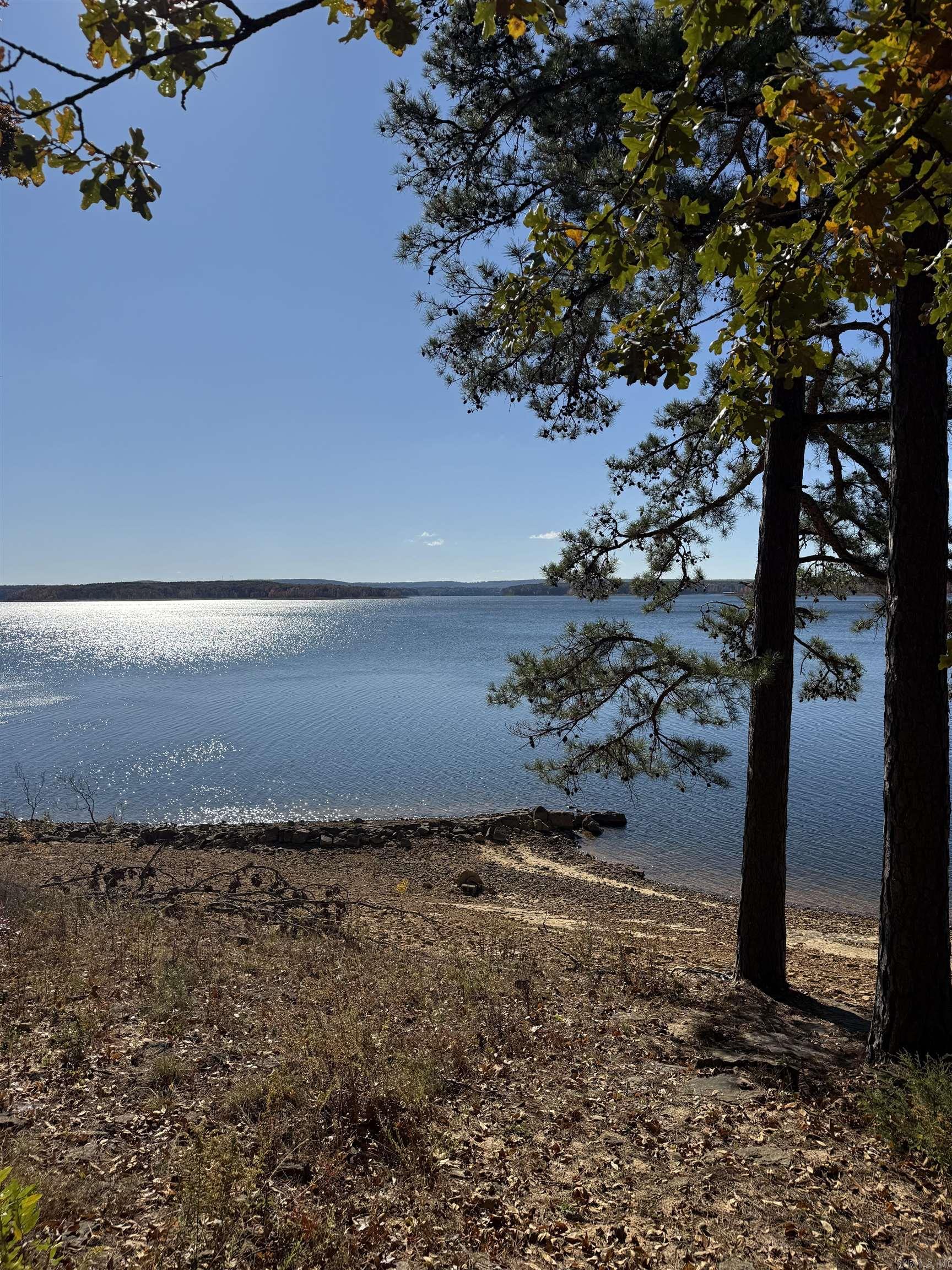 48 Rose Circle Drasco, AR 72530