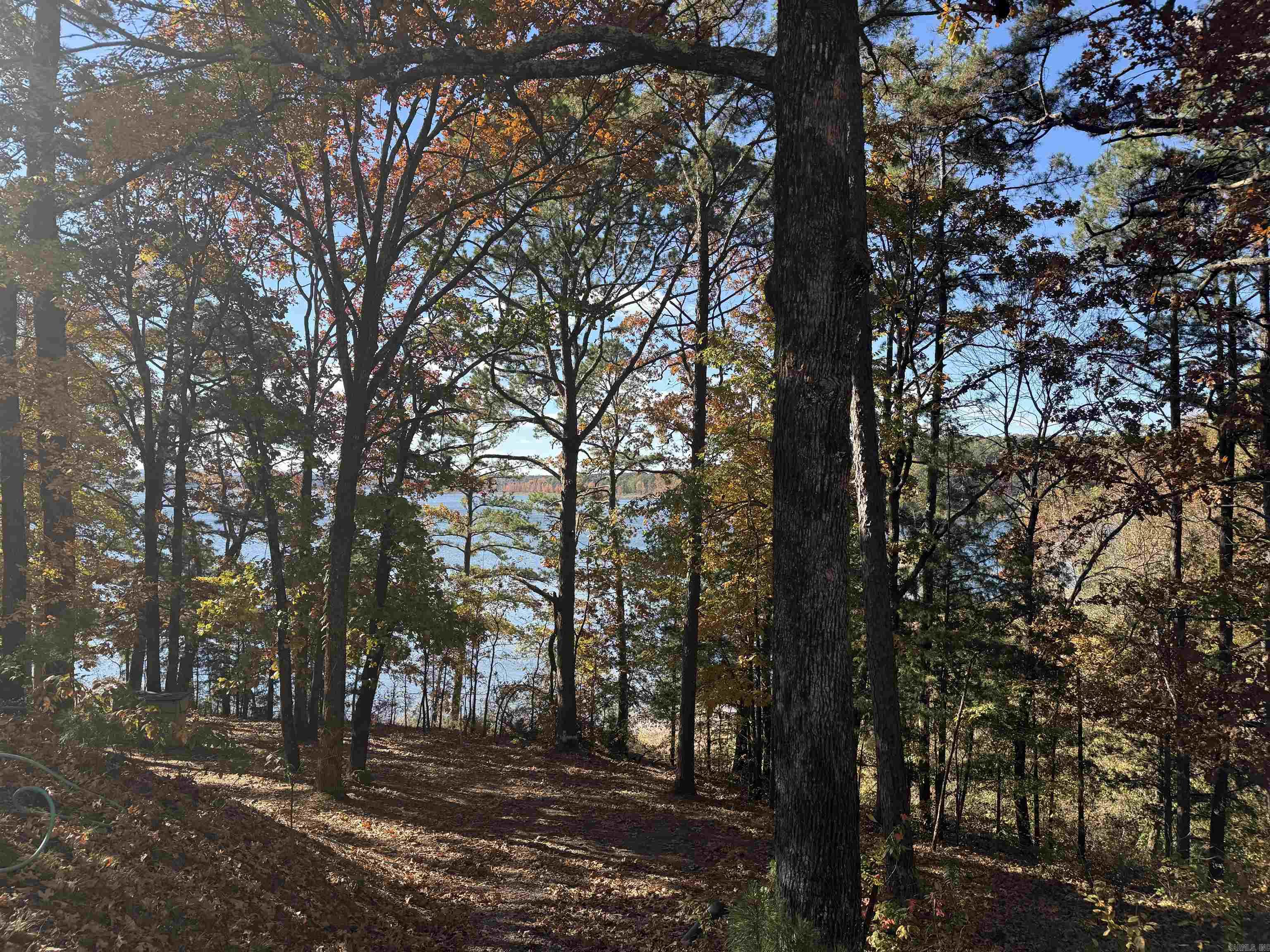 48 Rose Circle Drasco, AR 72530