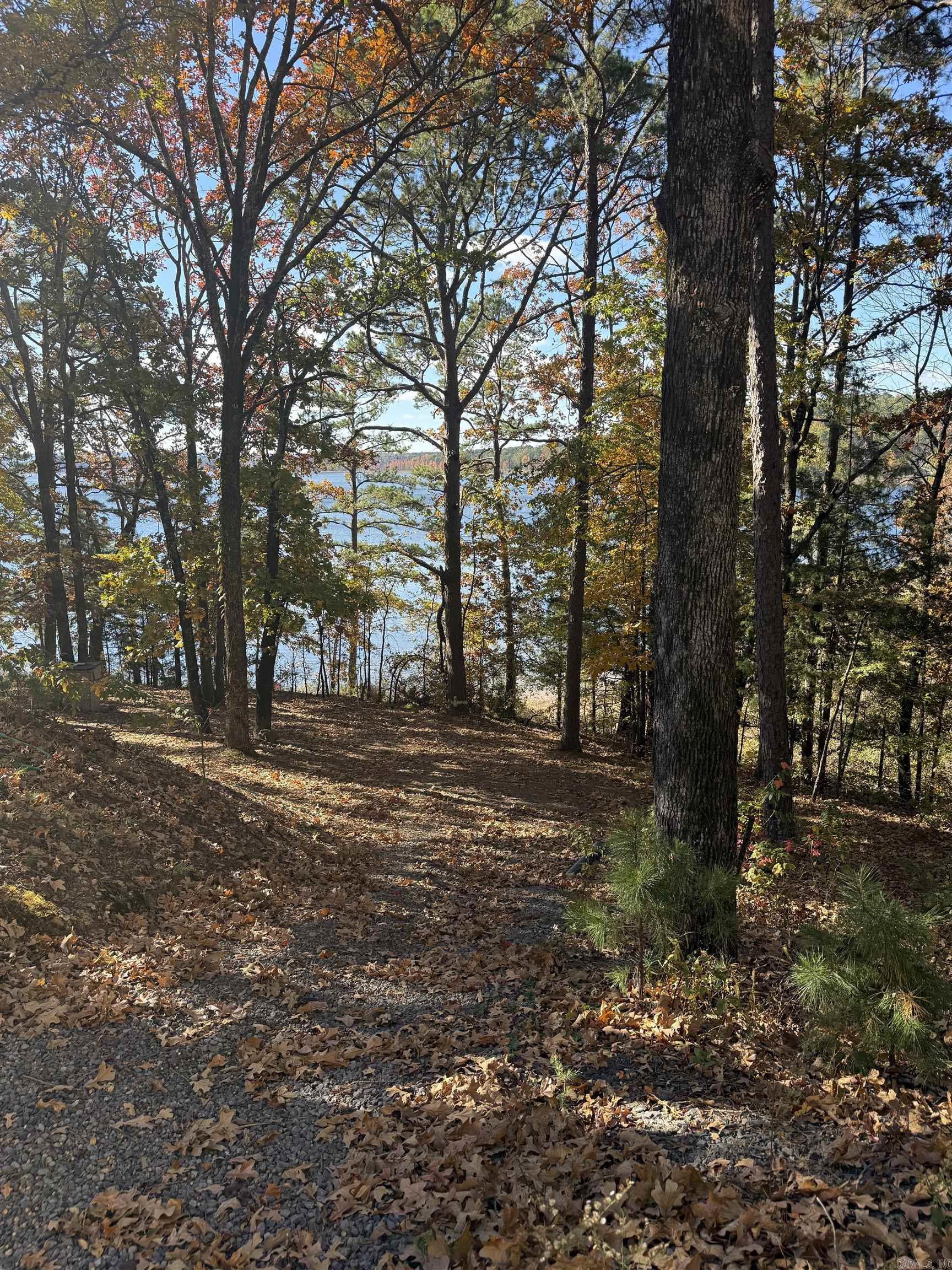 48 Rose Circle Drasco, AR 72530