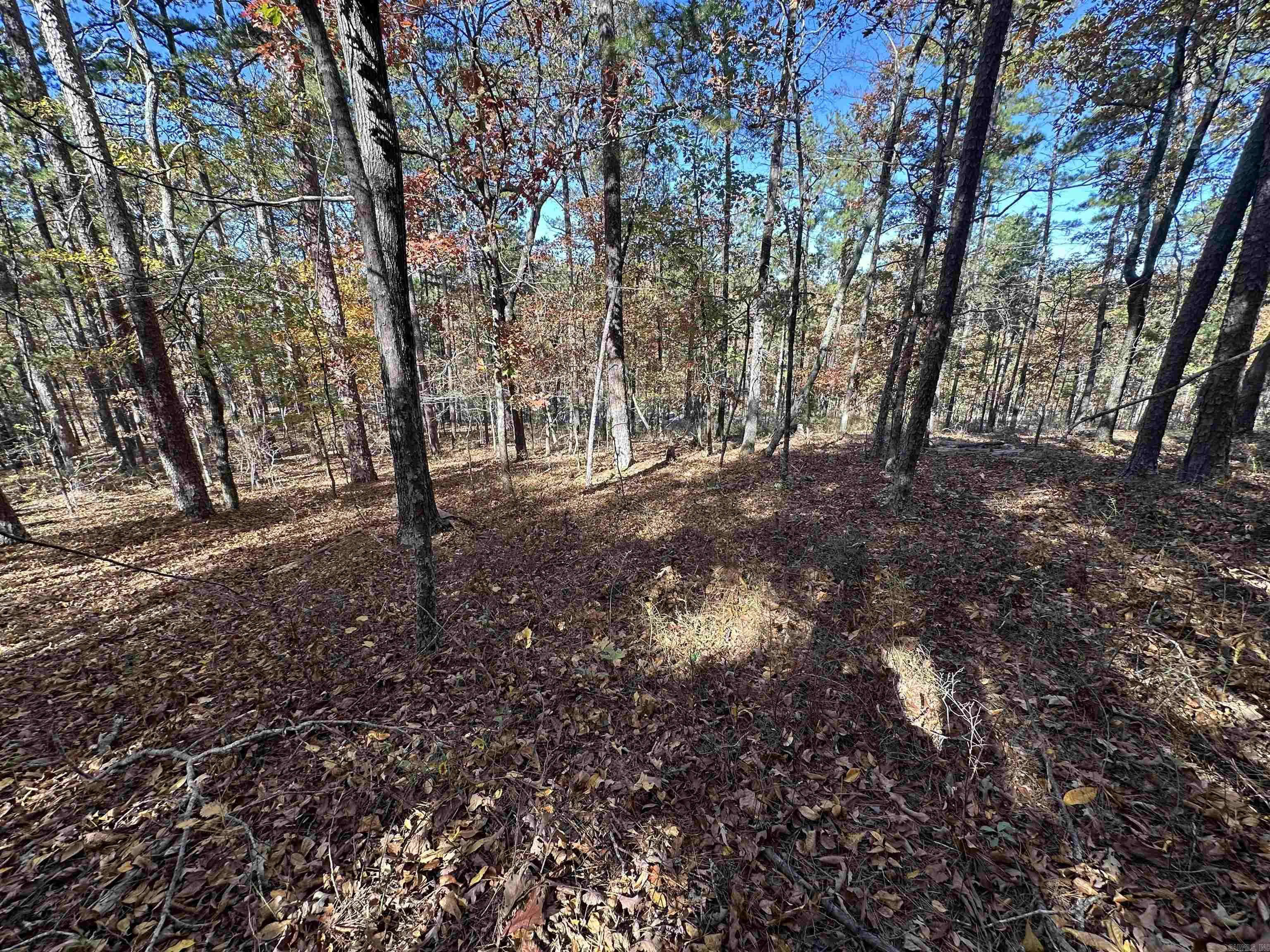 78 Fenix Drive  Hot Springs Village, AR