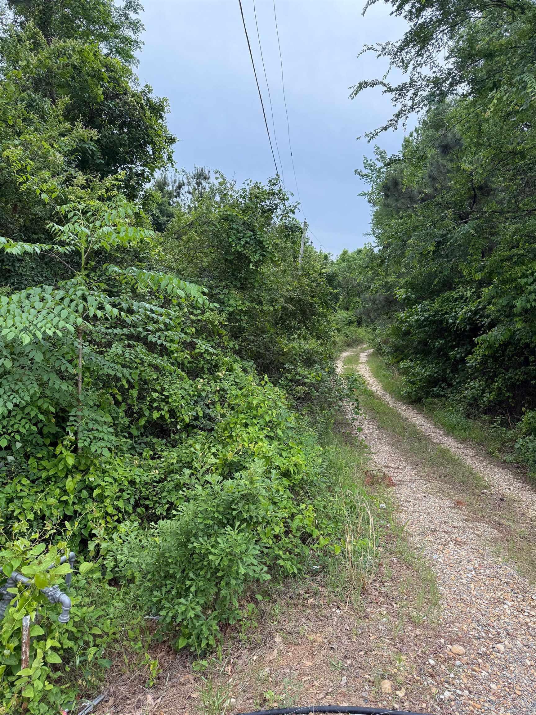 TBD Pine Street  Arkadelphia, AR