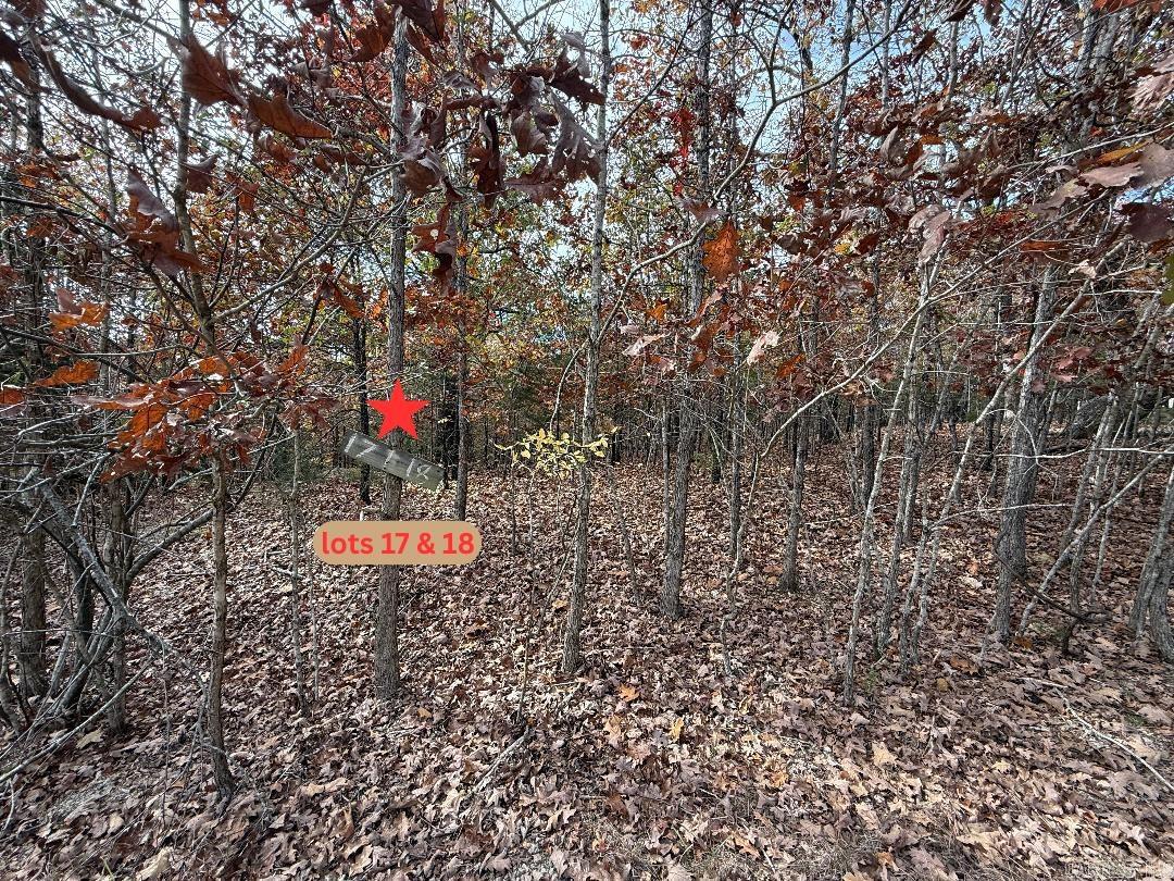 002-11055-016 Buckhead Lane  Mountain Home, AR