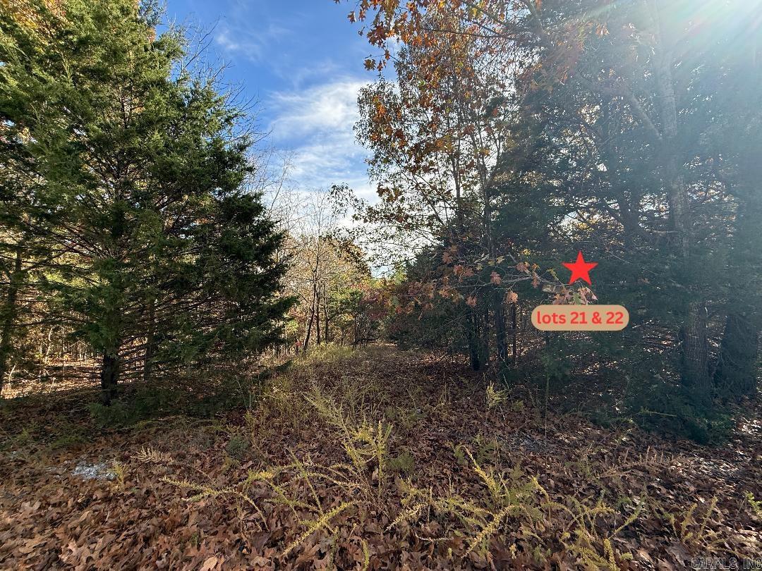 002-11055-016 Buckhead Lane  Mountain Home, AR