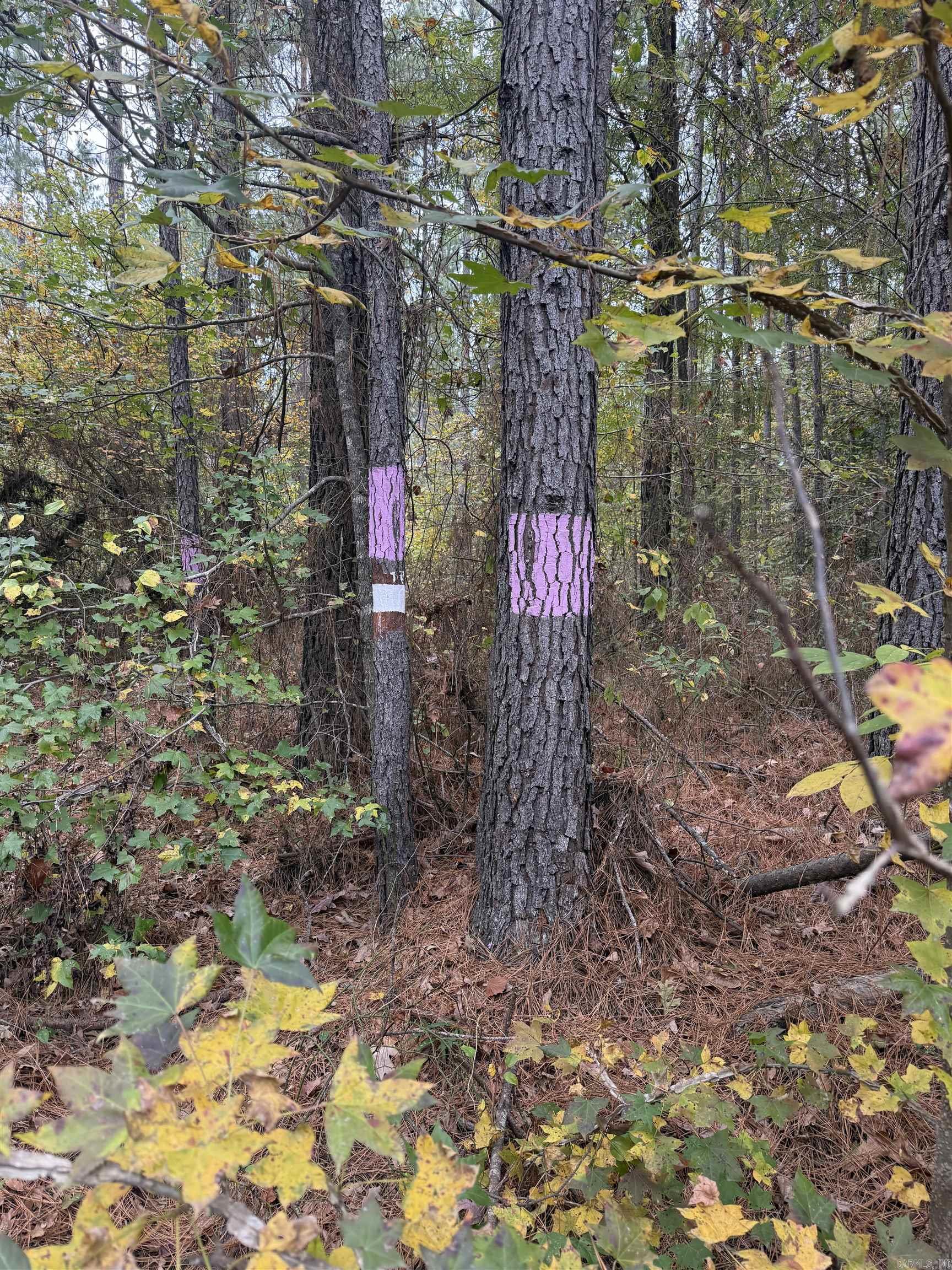 TBD Hitt  Murfreesboro, AR