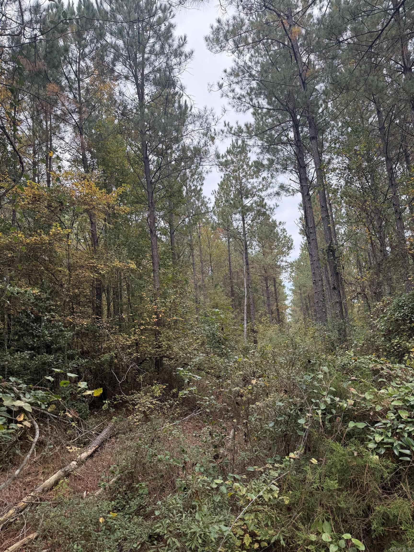 TBD Hitt  Murfreesboro, AR