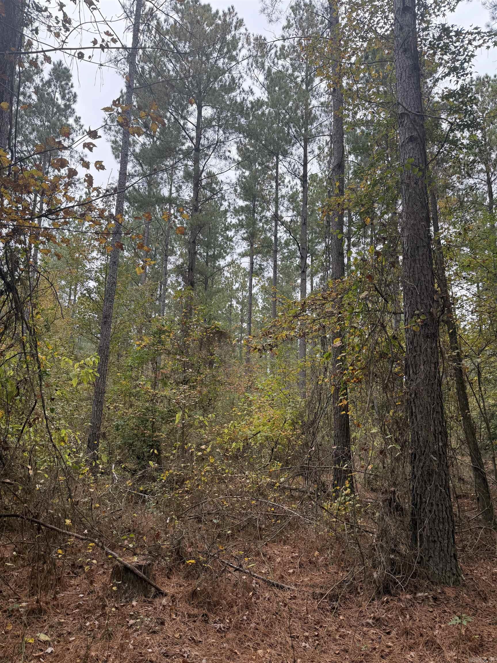 TBD Hitt  Murfreesboro, AR