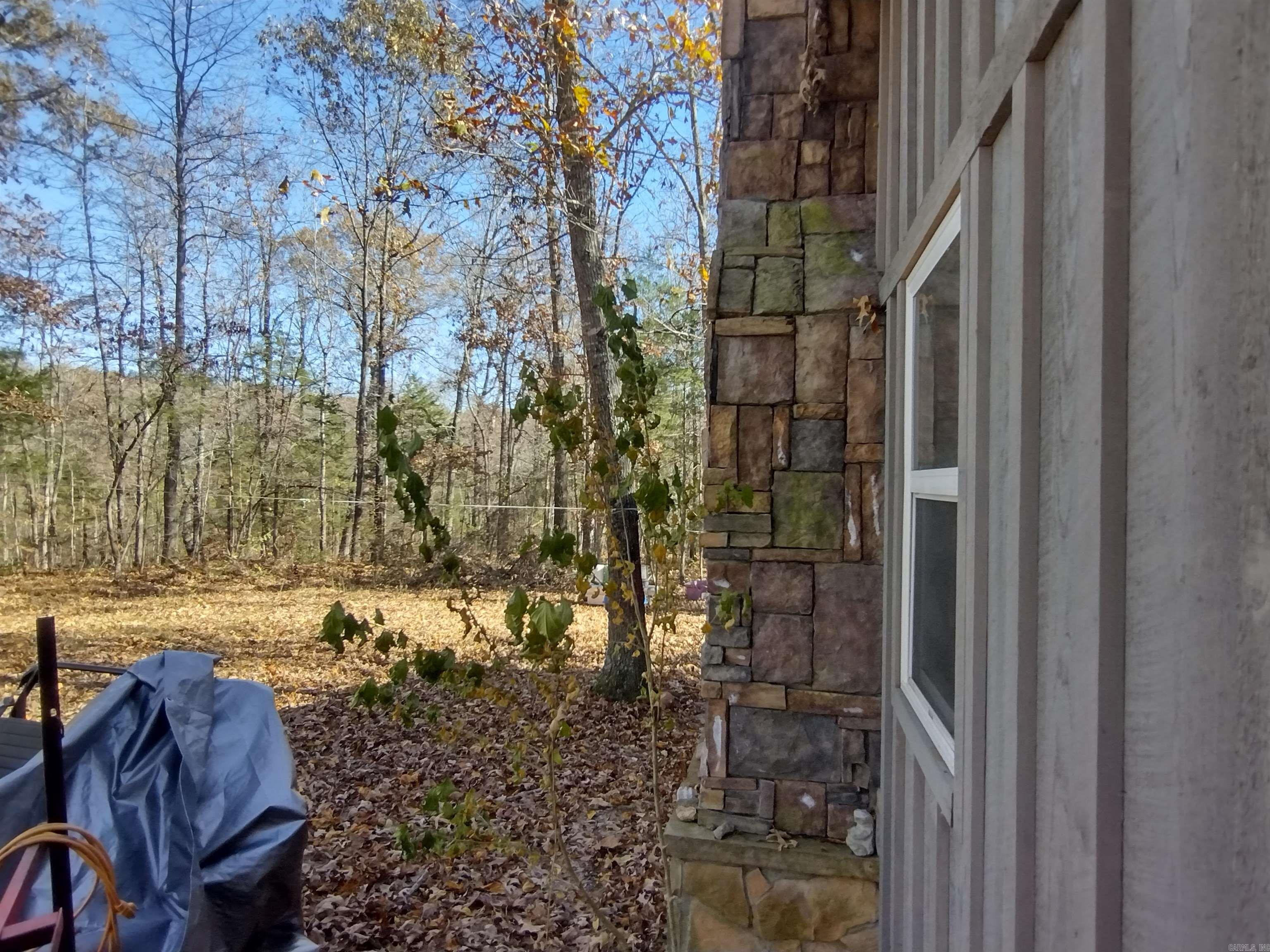 880 Wildcat rd  Fifty-Six, AR