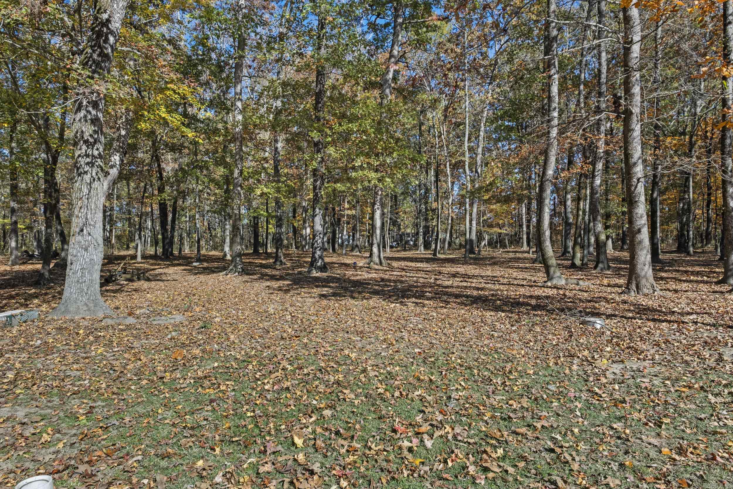 252 Bridgewood  Ward, AR