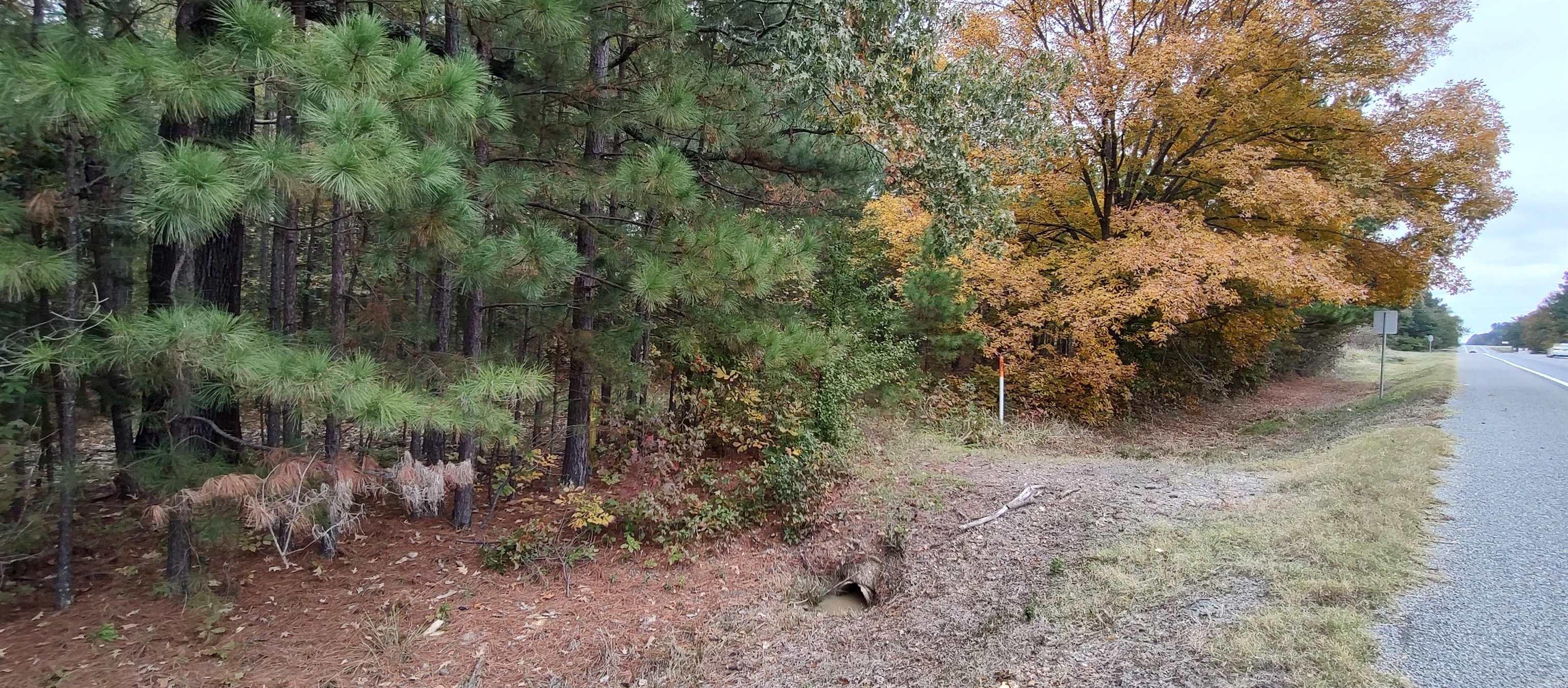 2 acres Hwy 79 N  Fordyce, AR