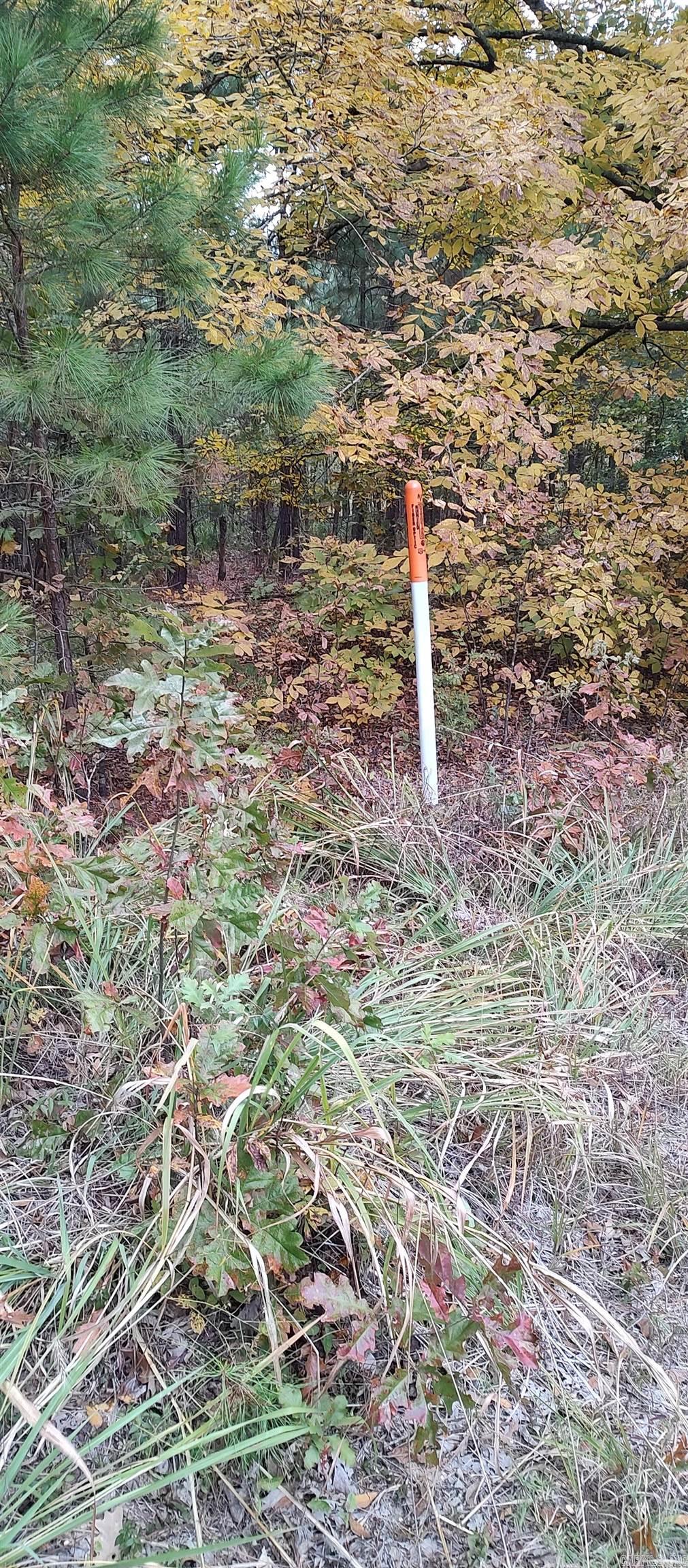 2 acres Hwy 79 N  Fordyce, AR