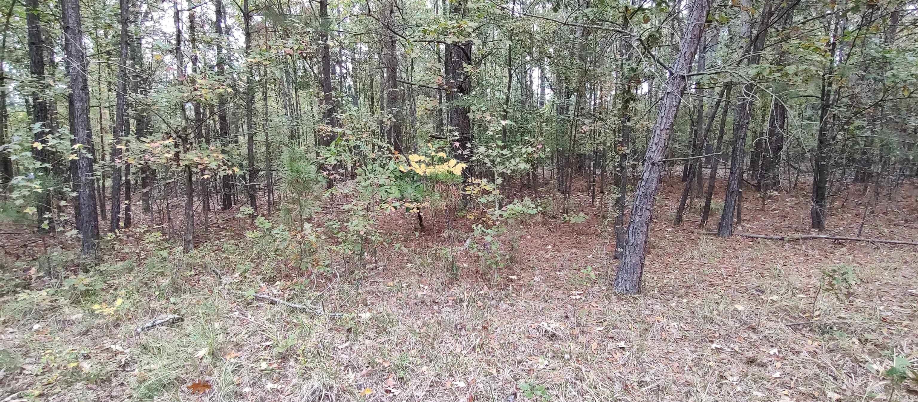 2 acres Hwy 79 N  Fordyce, AR