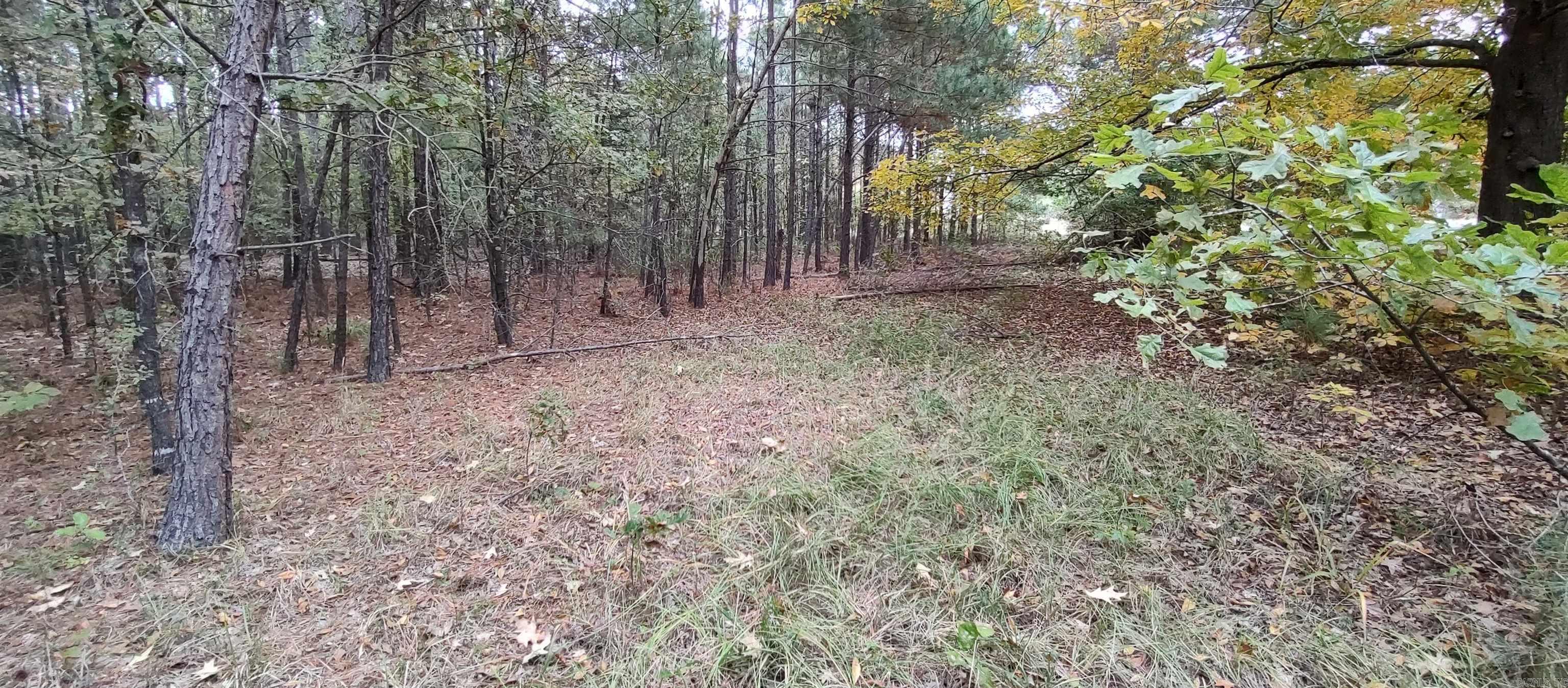 2 acres Hwy 79 N  Fordyce, AR