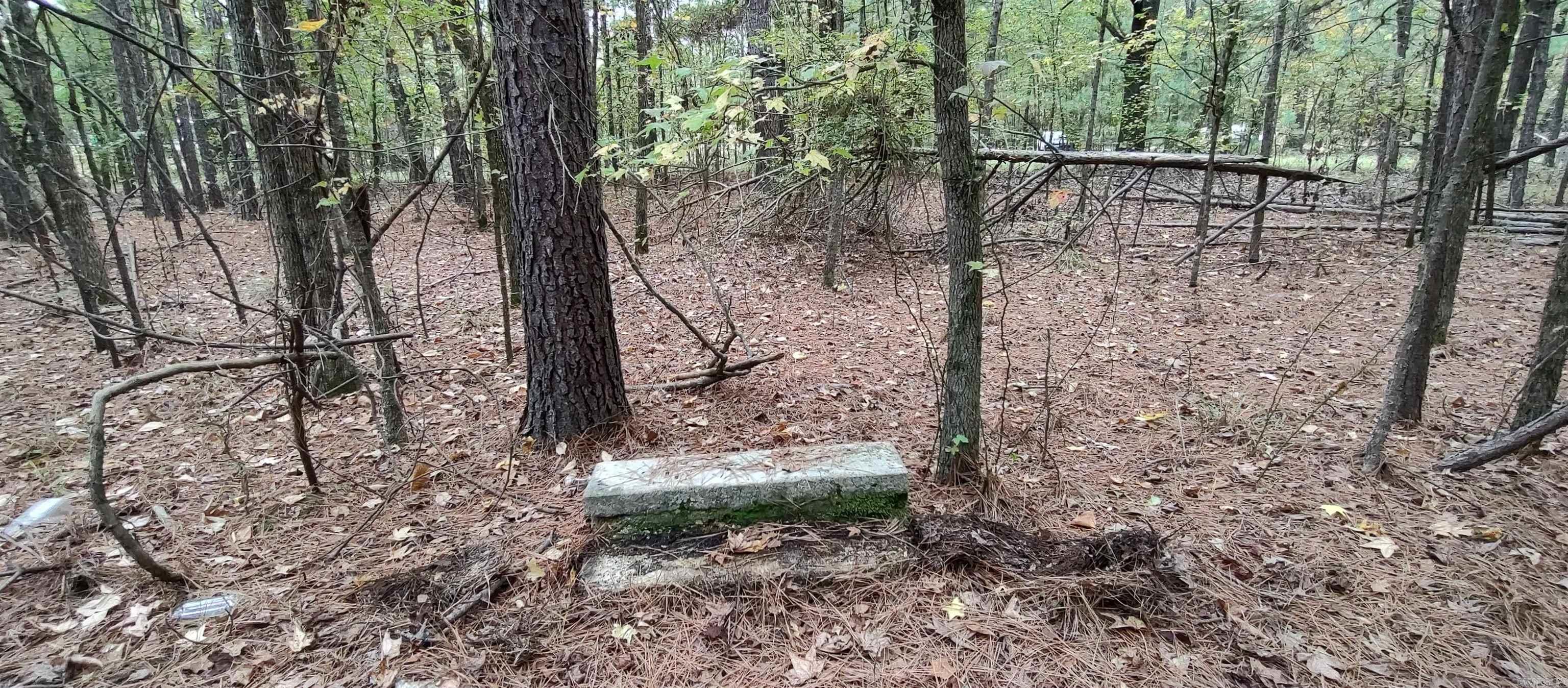 2 acres Hwy 79 N  Fordyce, AR