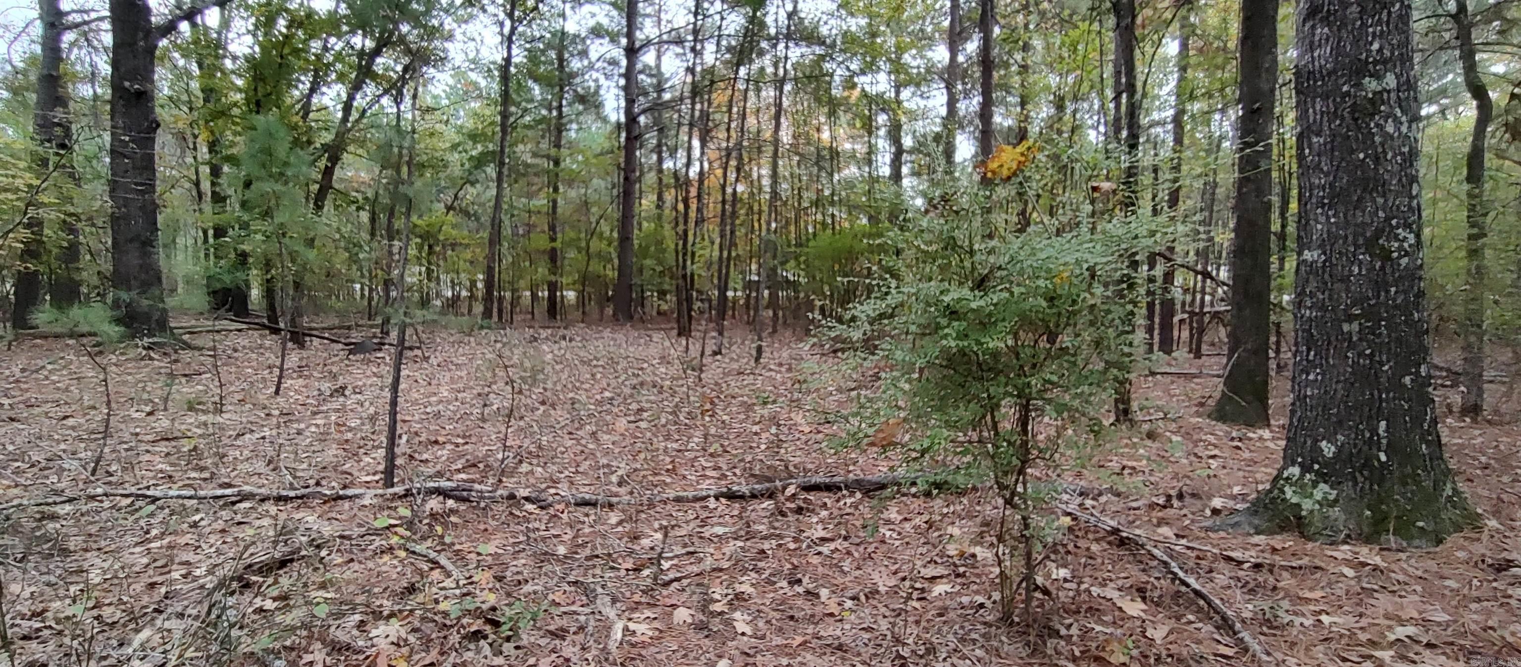 2 acres Hwy 79 N  Fordyce, AR