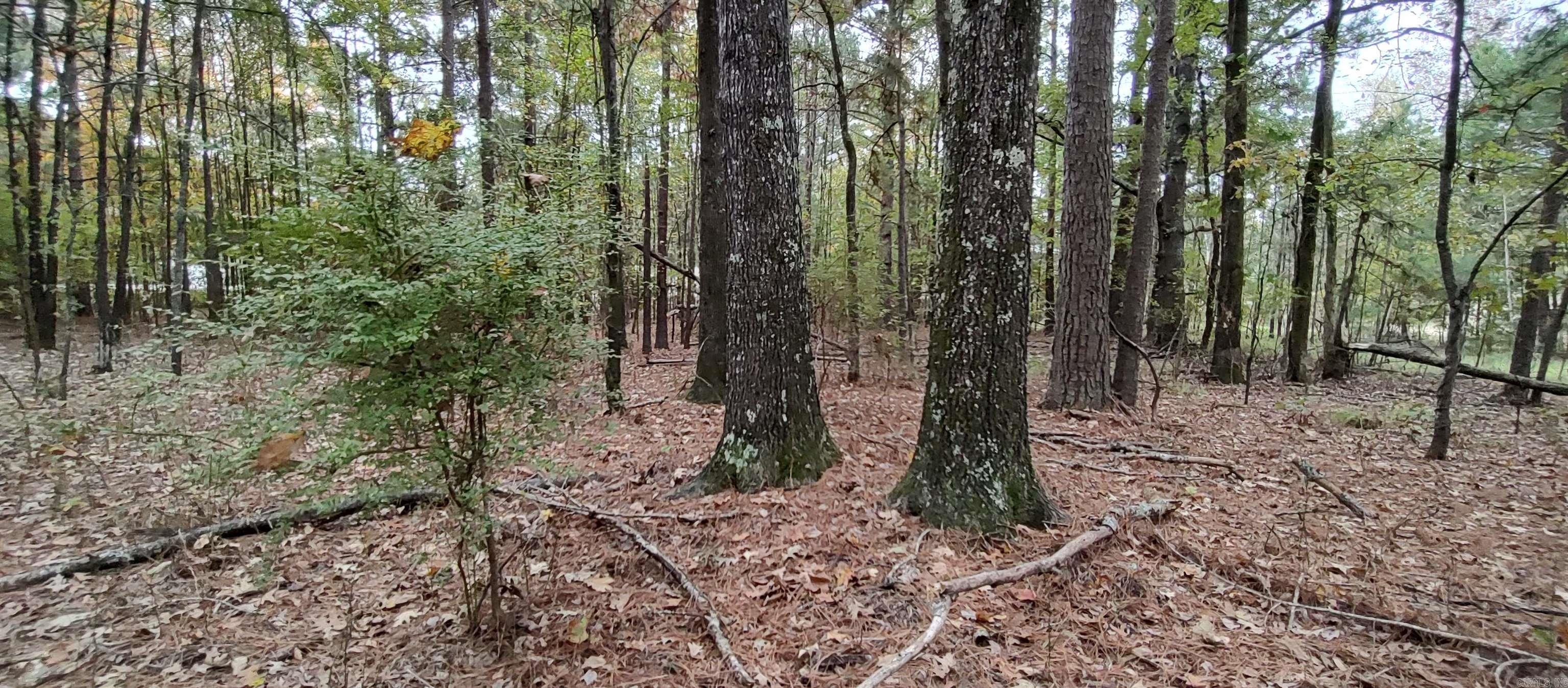 2 acres Hwy 79 N  Fordyce, AR