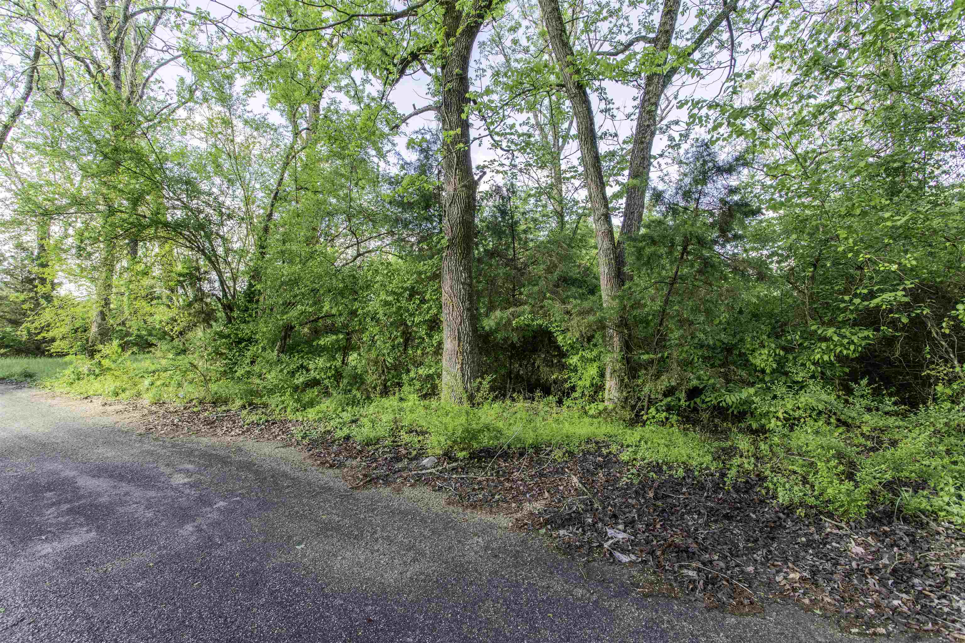 TBD Perrin  Ravenden, AR