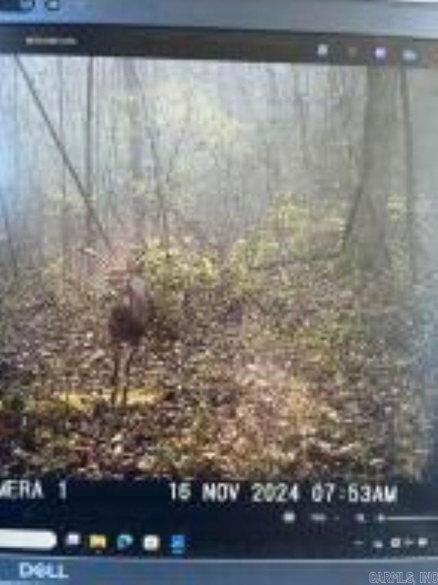  Whiskey Creek  Batesville, AR