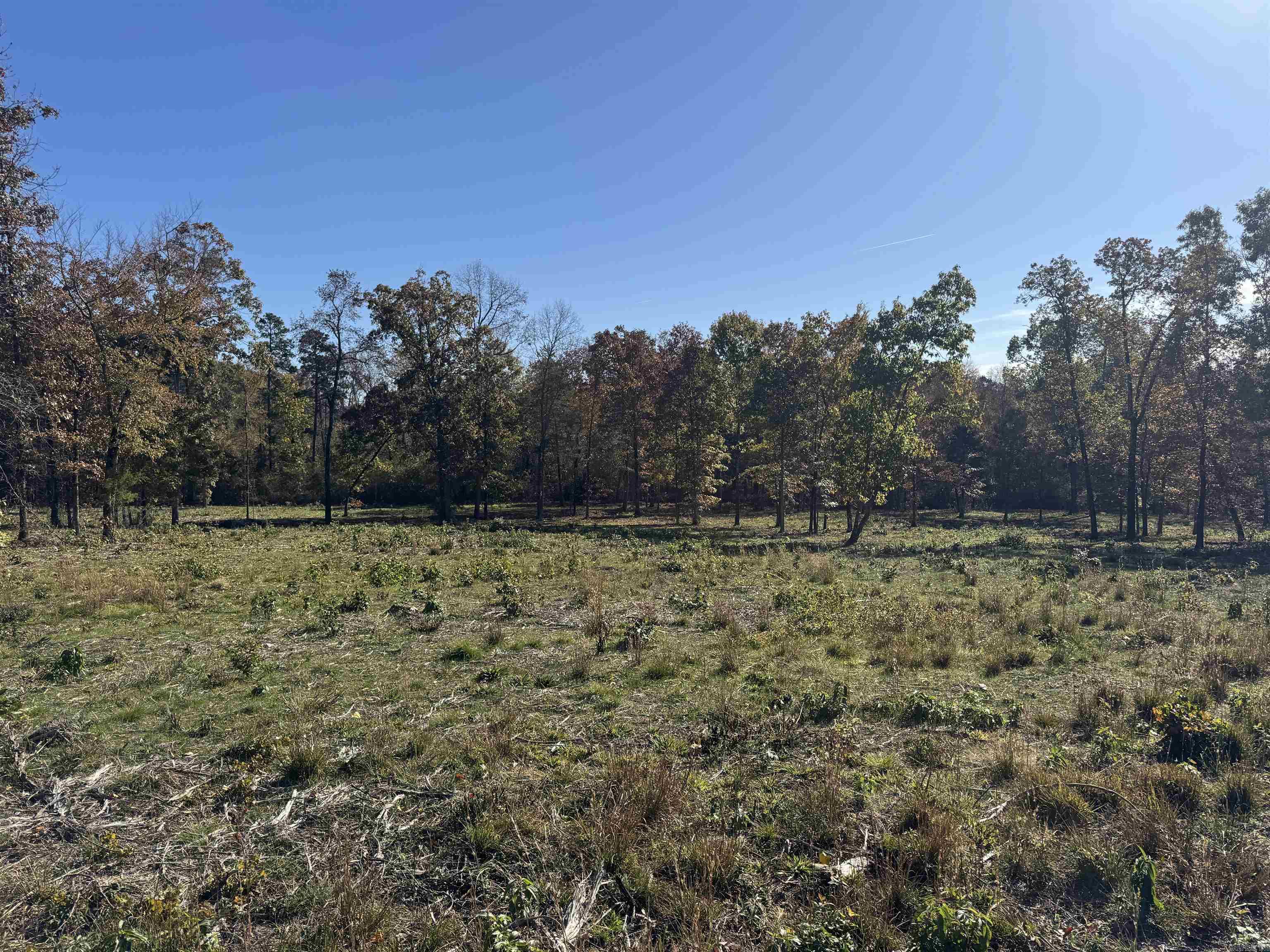 000 Georgia Ridge  Searcy, AR