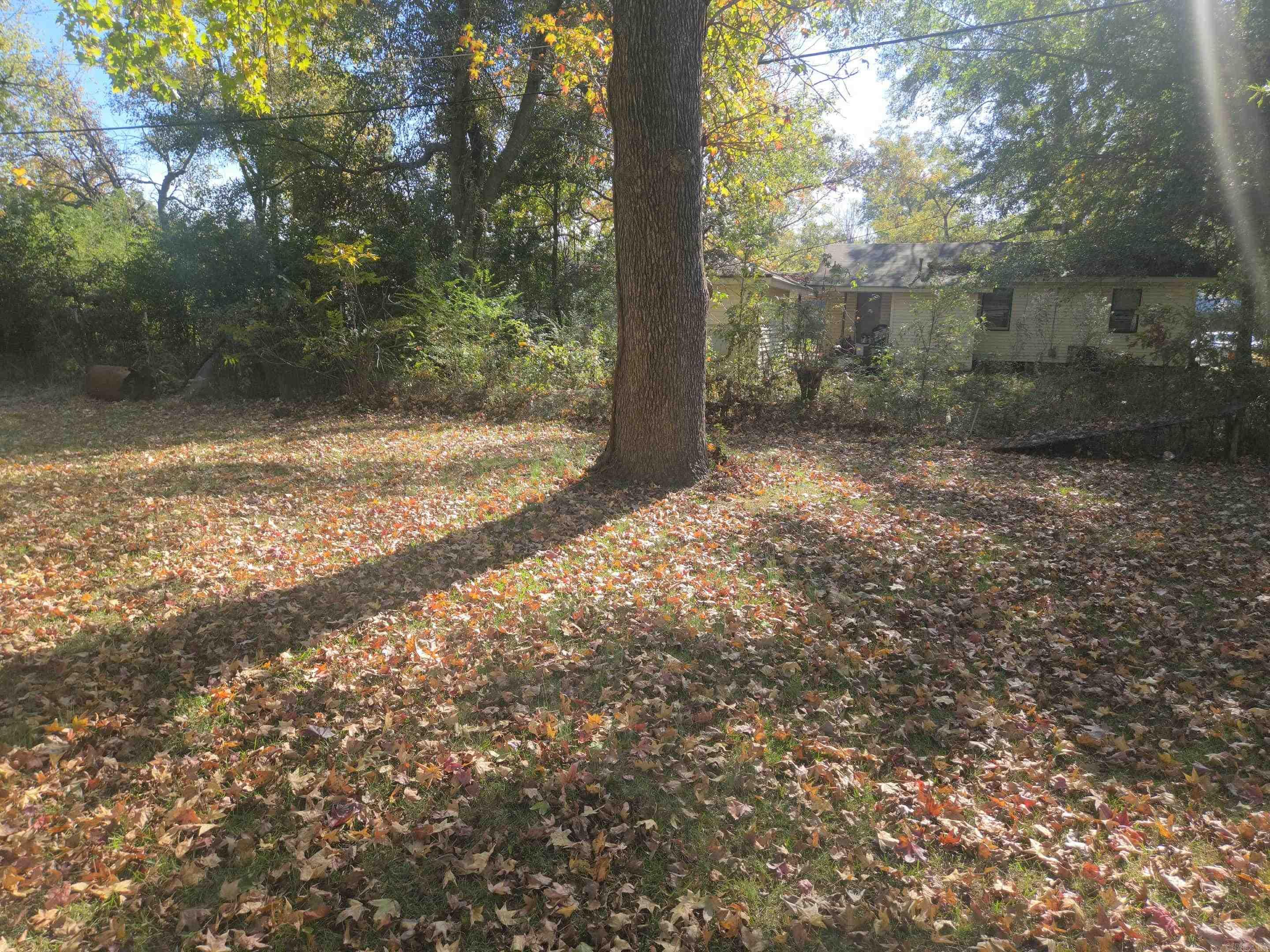 3108 Tulip  Pine Bluff, AR