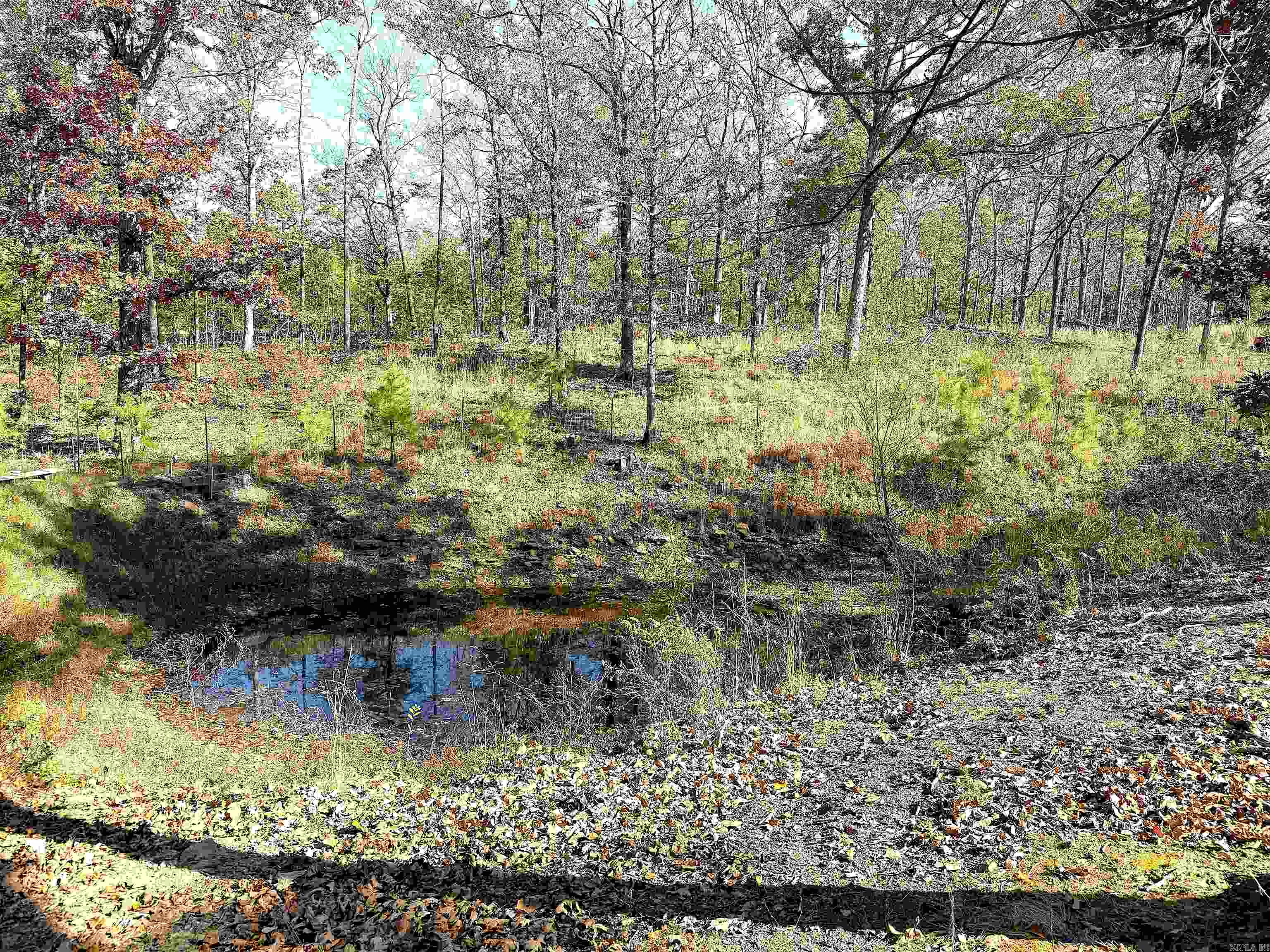 192 Lone Pine Road N  Greers Ferry, AR