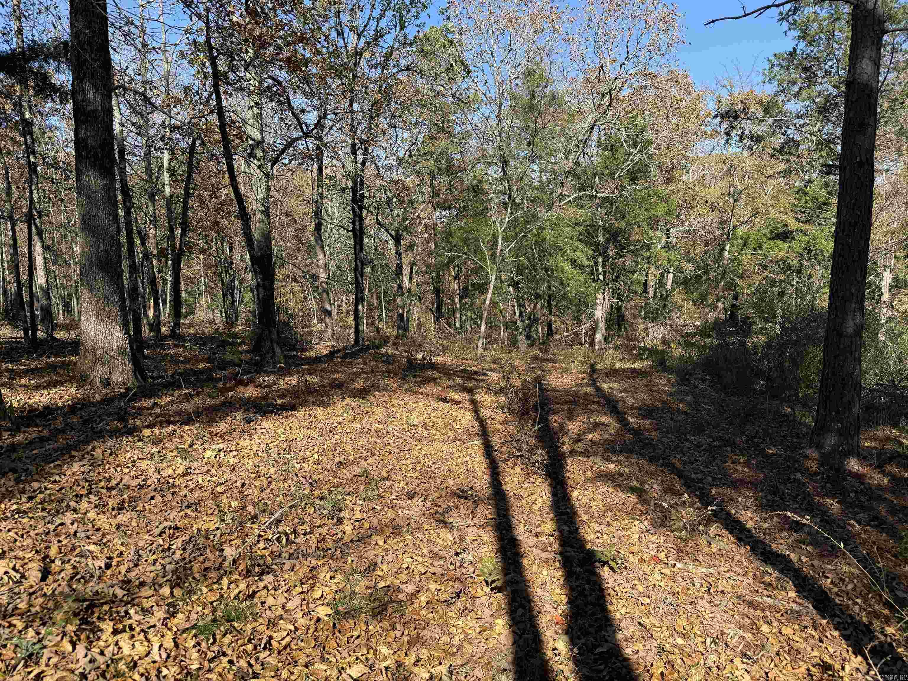 192 Lone Pine Road N  Greers Ferry, AR