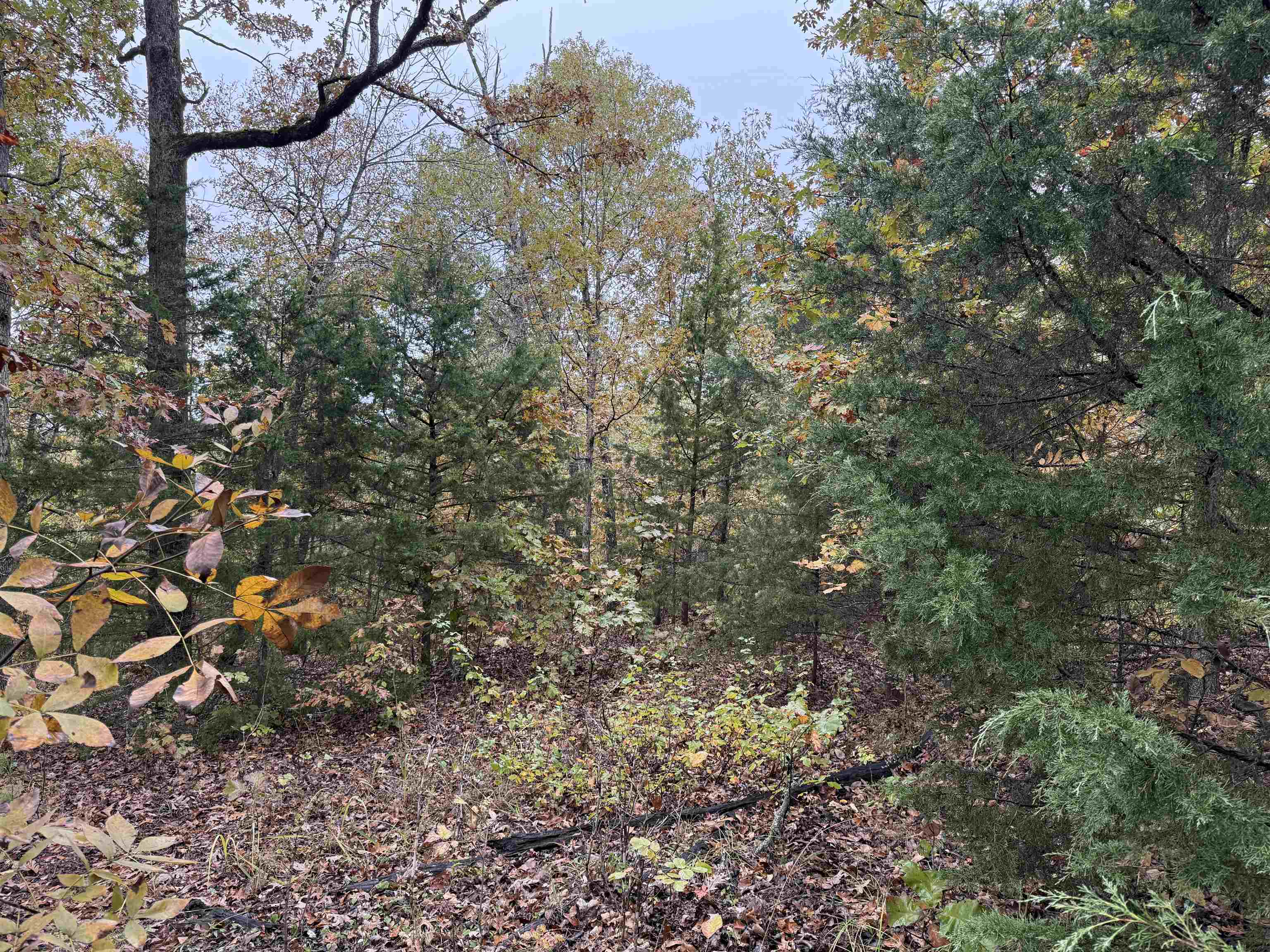 TBD Russell Road  Hardy, AR