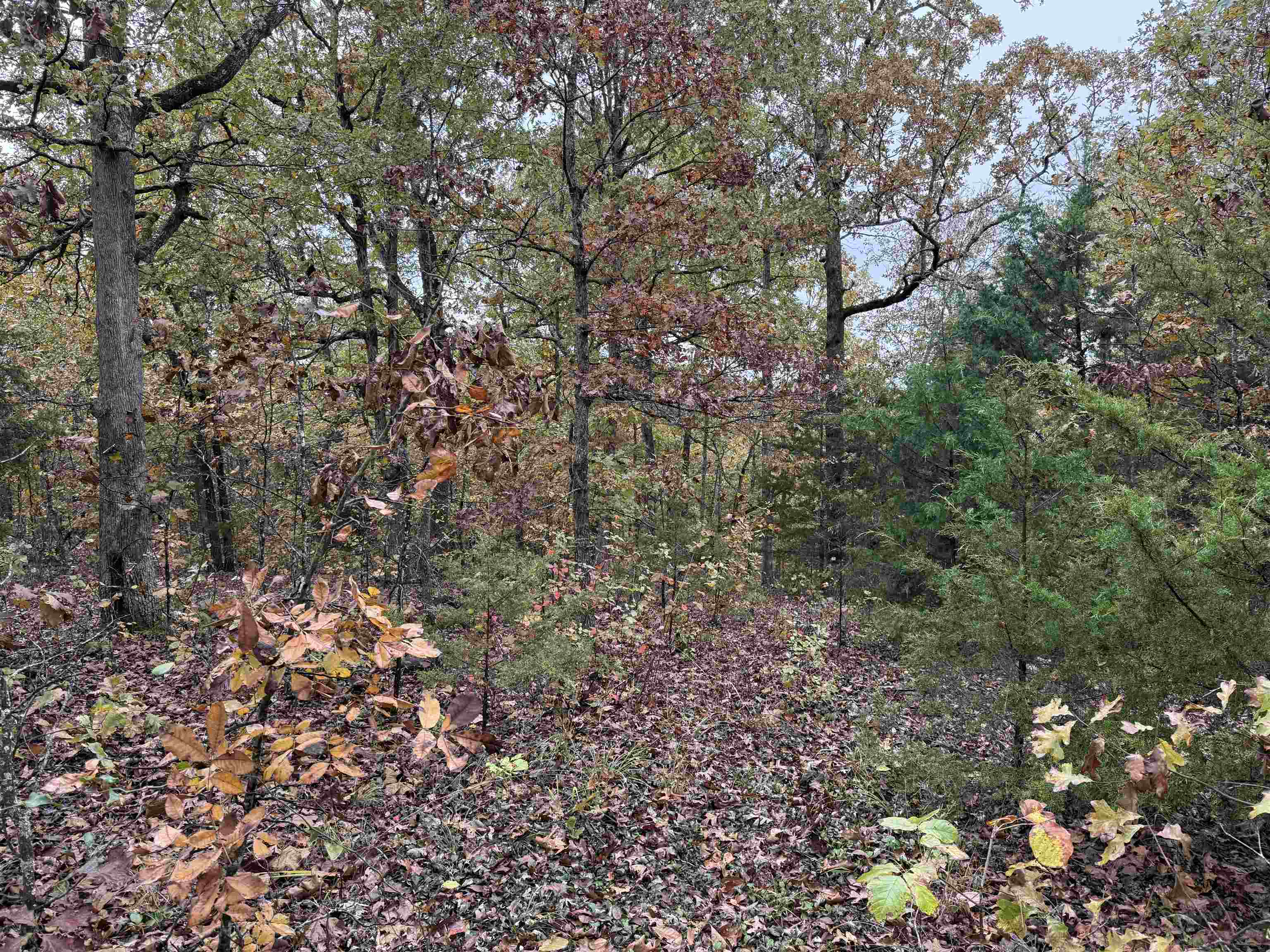 TBD Russell Road  Hardy, AR