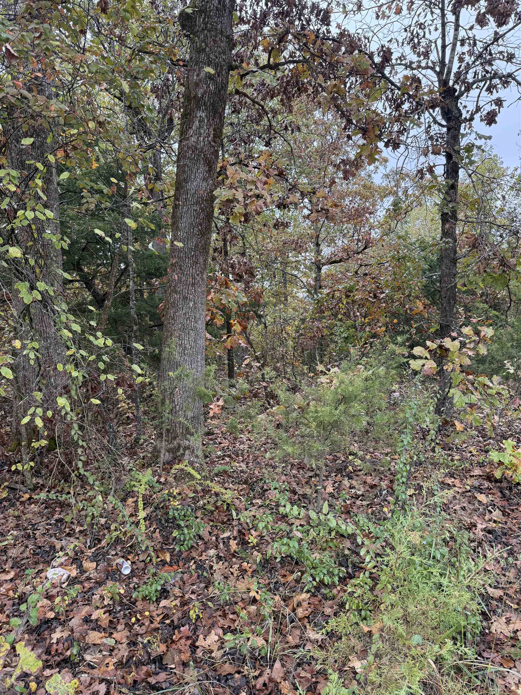 TBD Russell Road  Hardy, AR