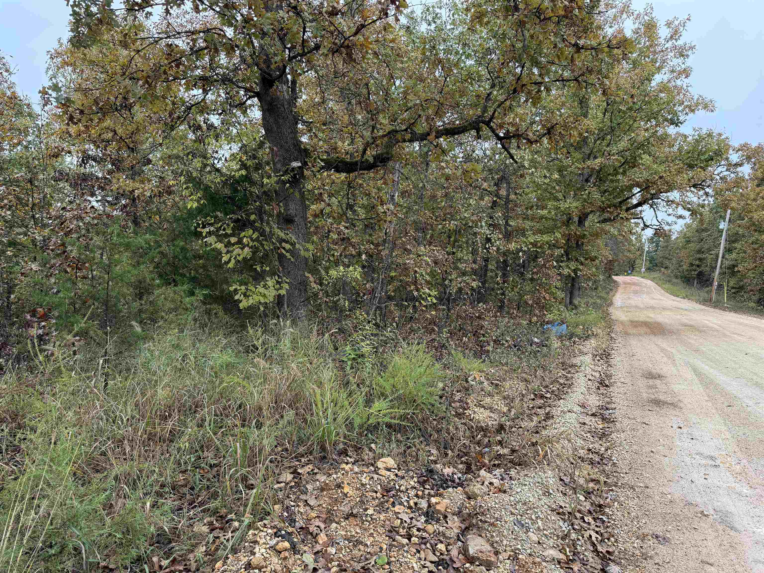 TBD Russell Road  Hardy, AR