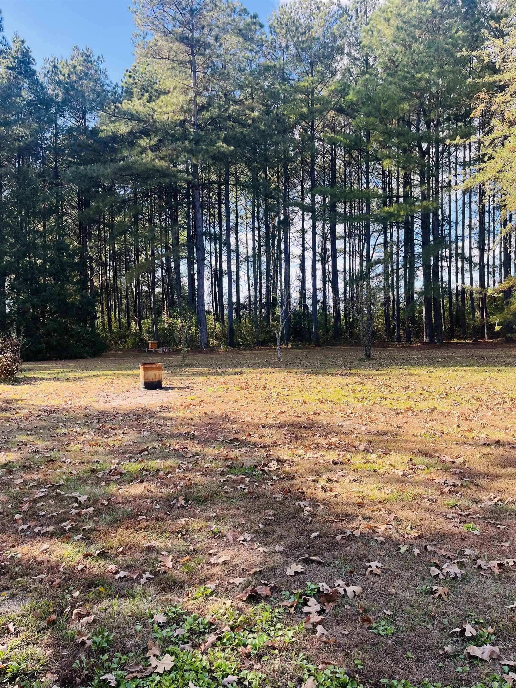 2215 S 425  Monticello, AR