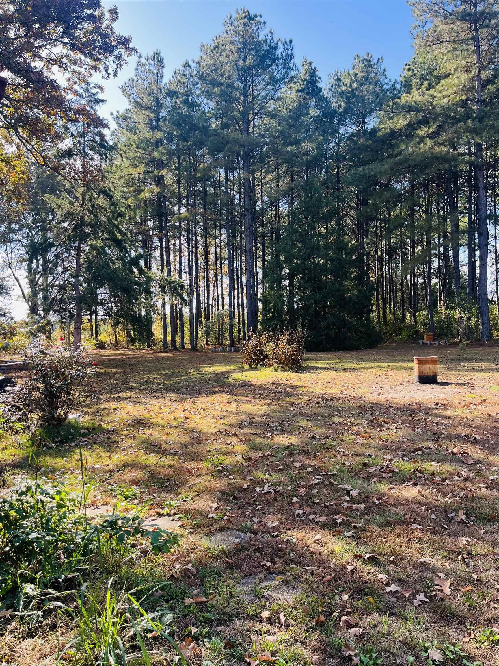 2215 S 425  Monticello, AR