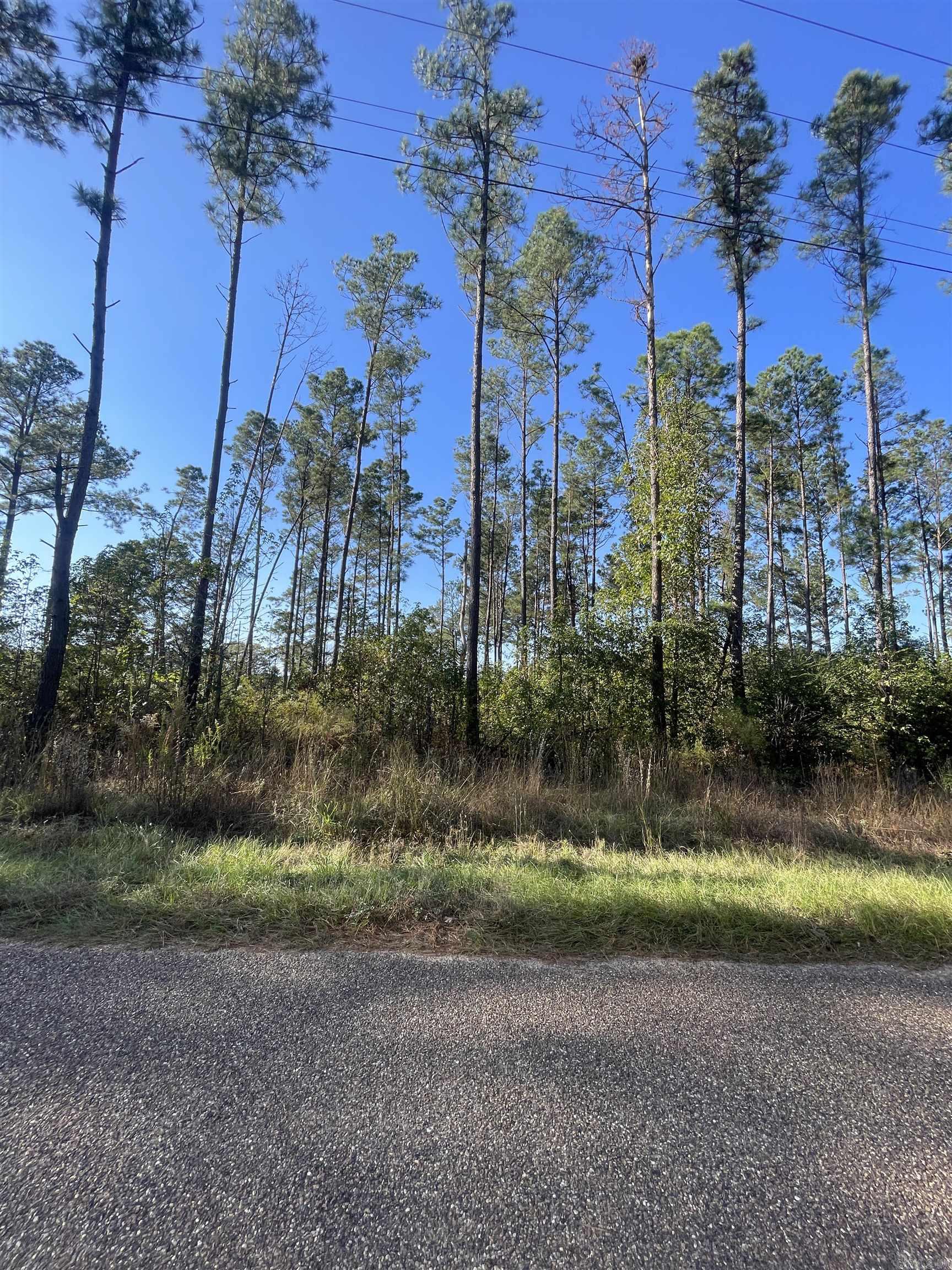 1407 Miller County 3  Doddridge, AR