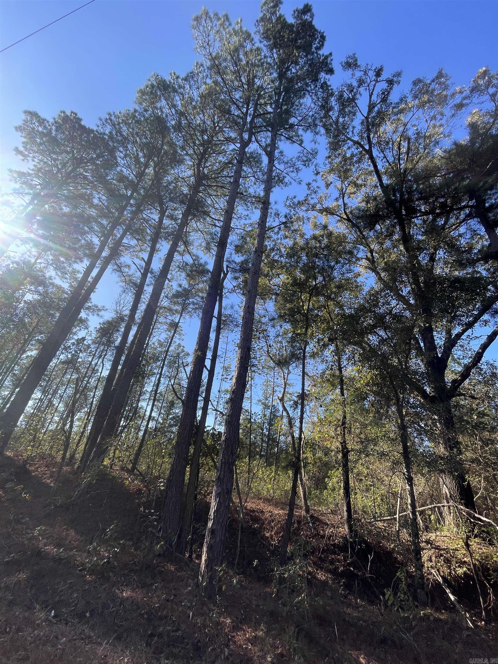 1407 Miller County 3  Doddridge, AR