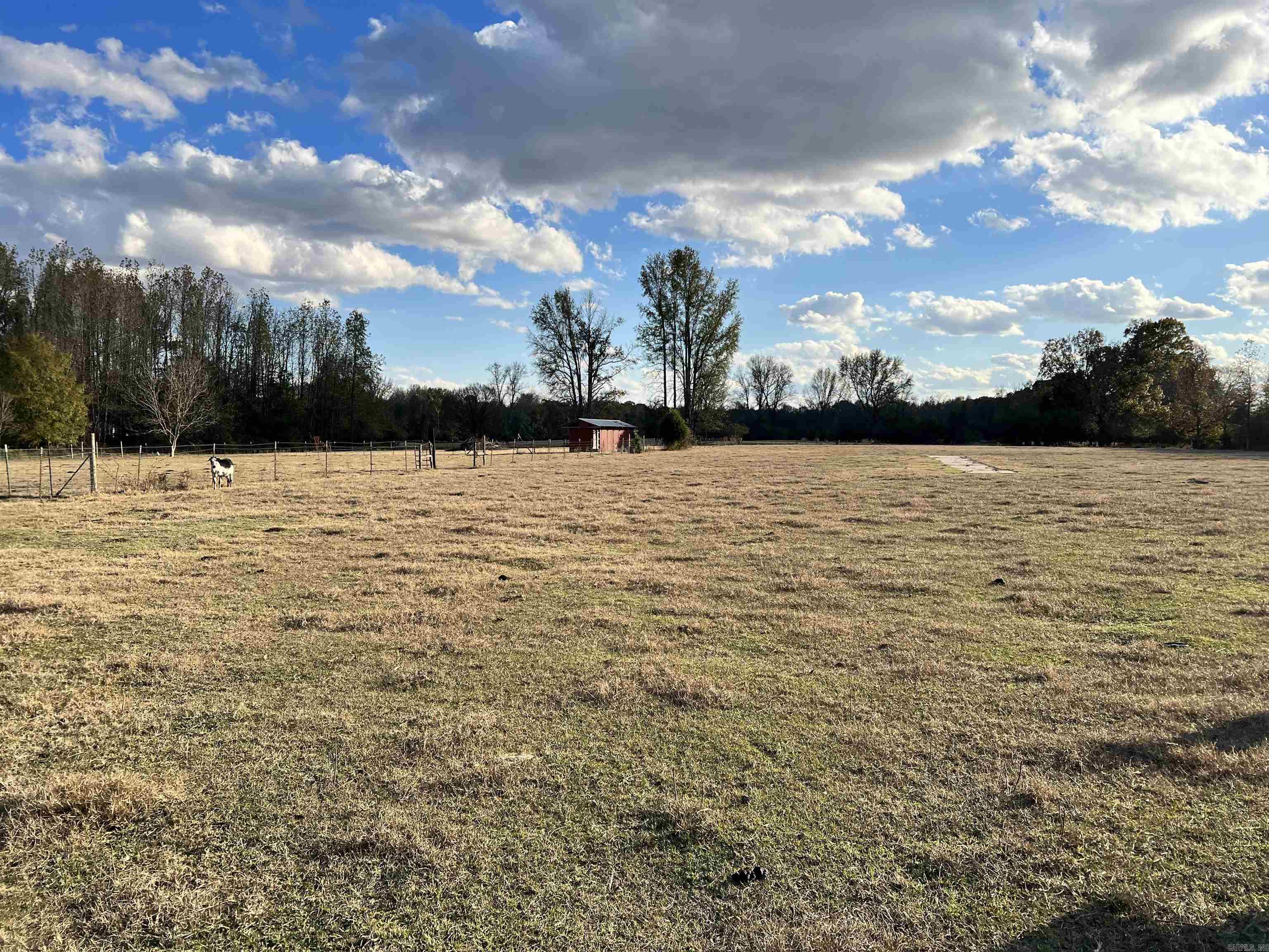 215 Williamson  Lonoke, AR