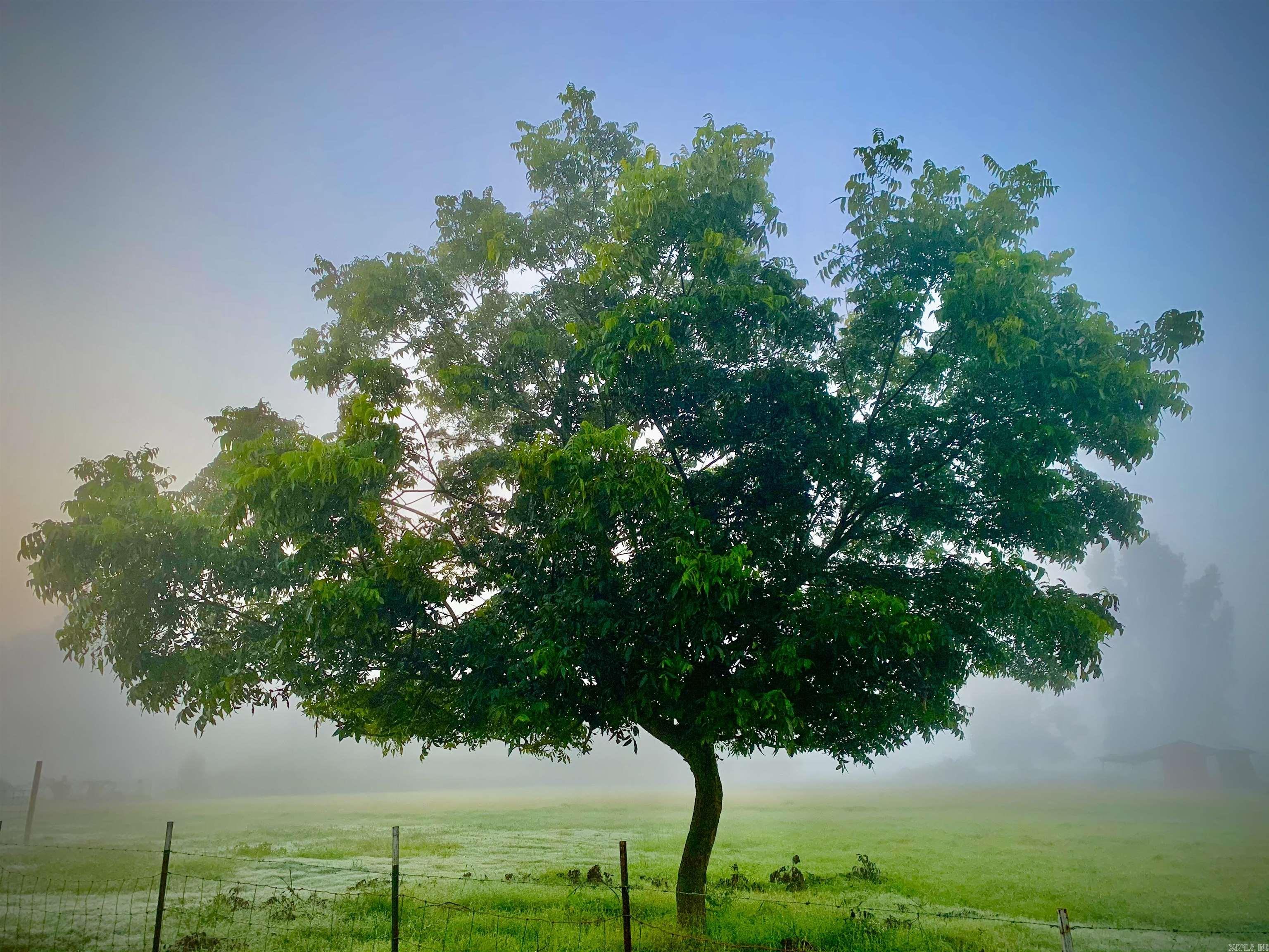 215 Williamson  Lonoke, AR