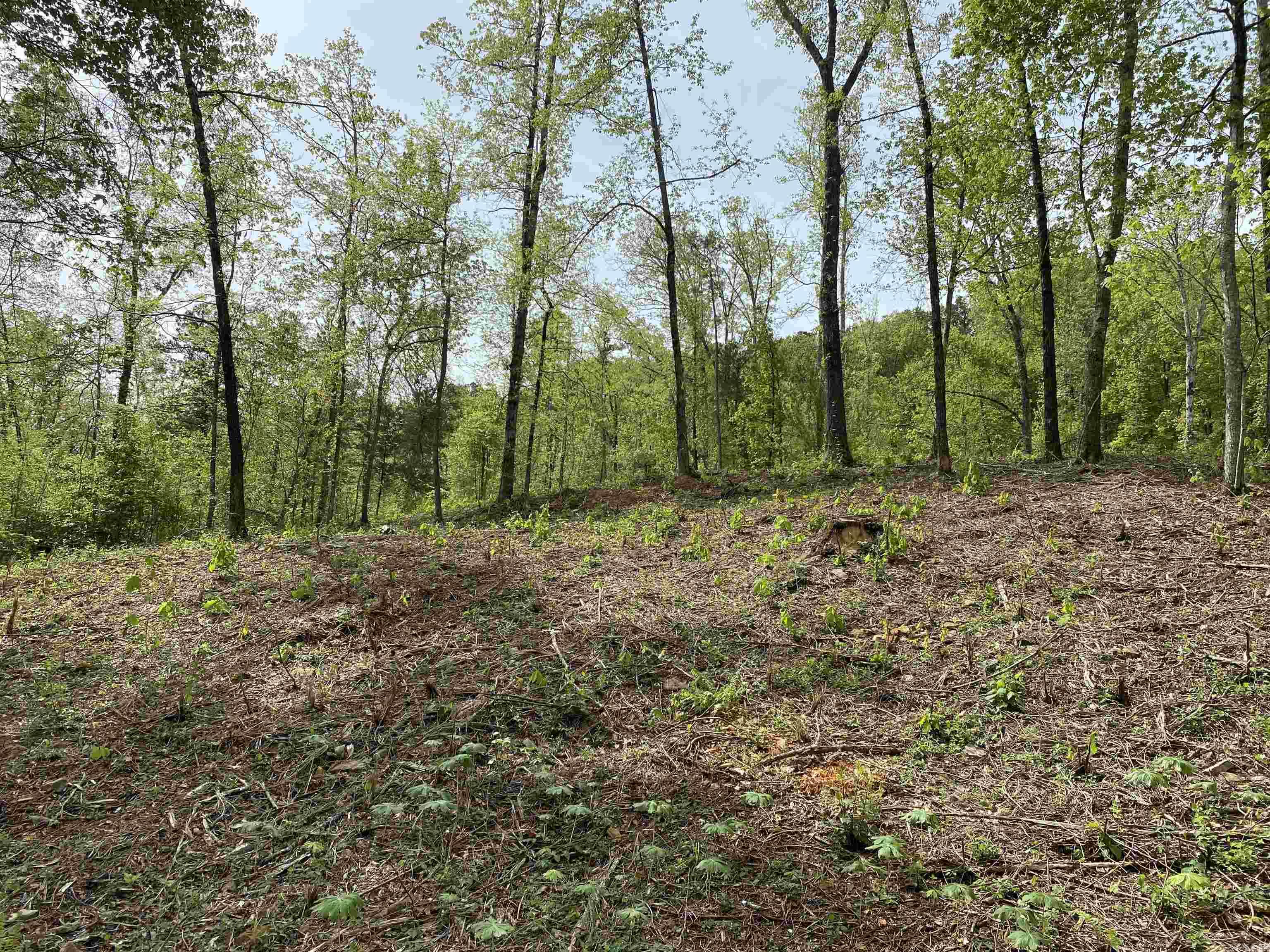 707 W Hwy 95  Clinton, AR