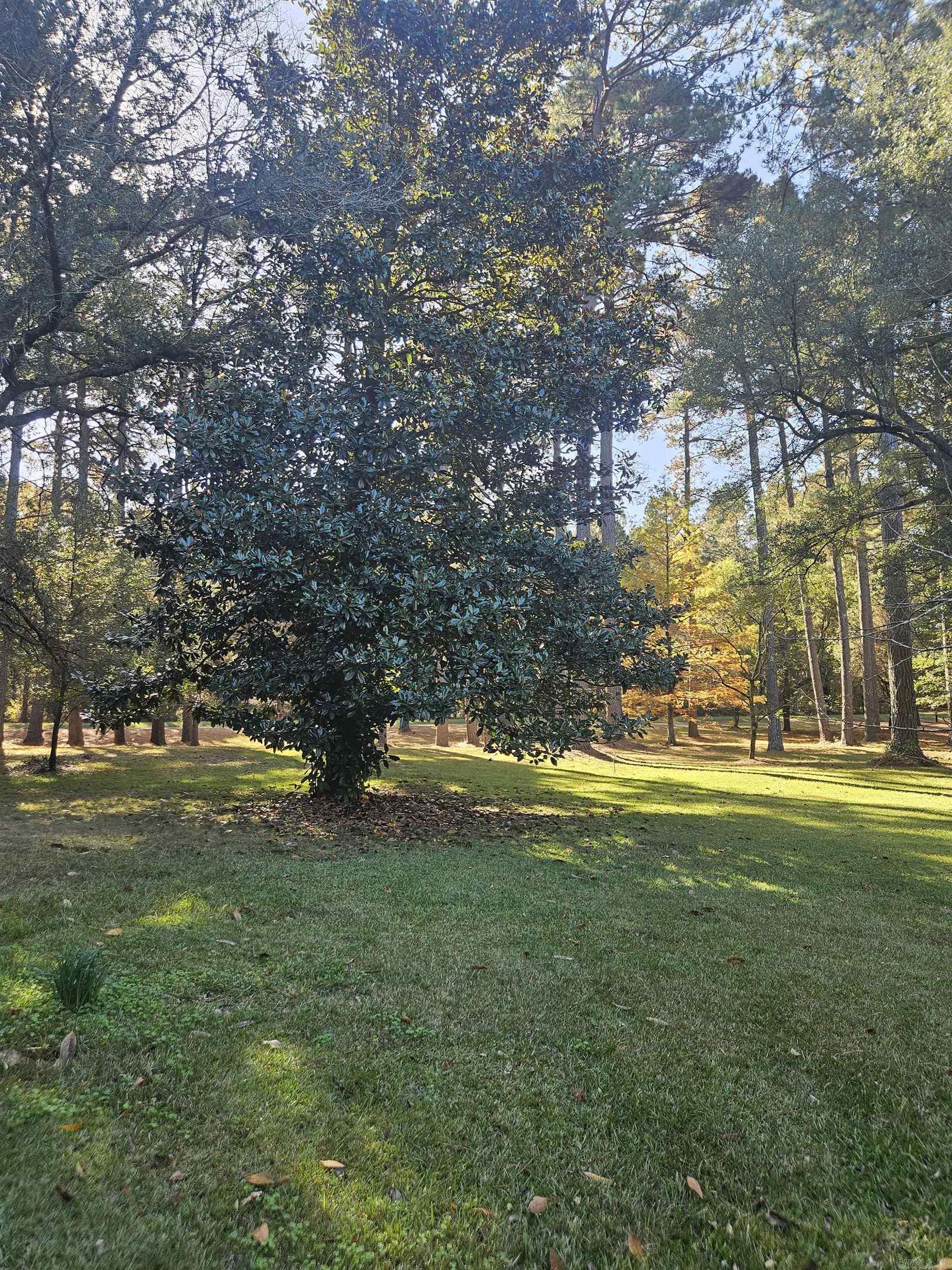 212 Young  Nashville, AR