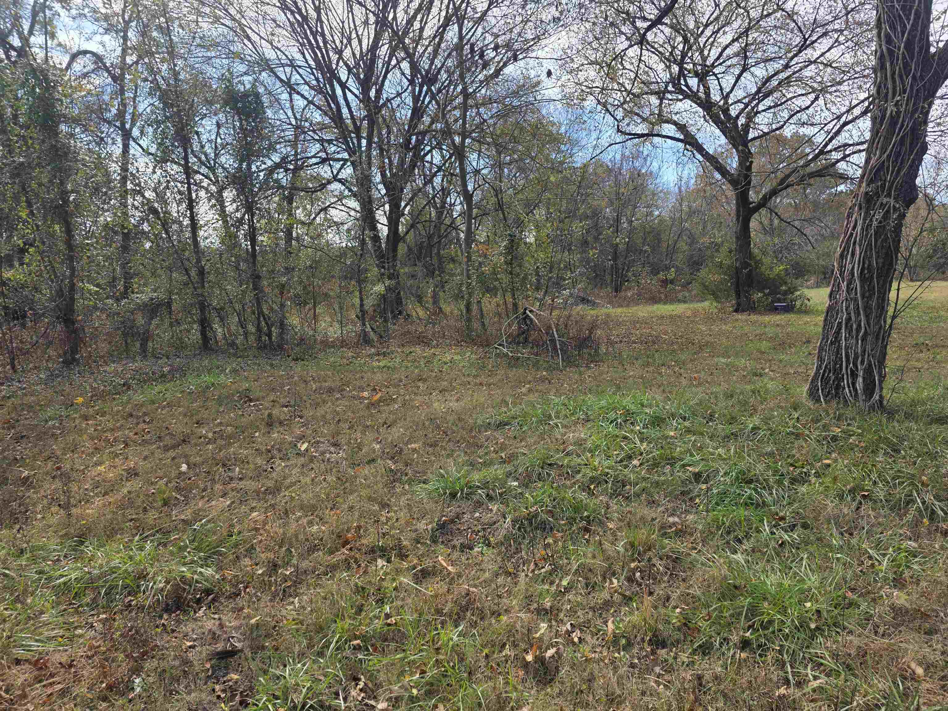 270 E Maxville  Cave City, AR