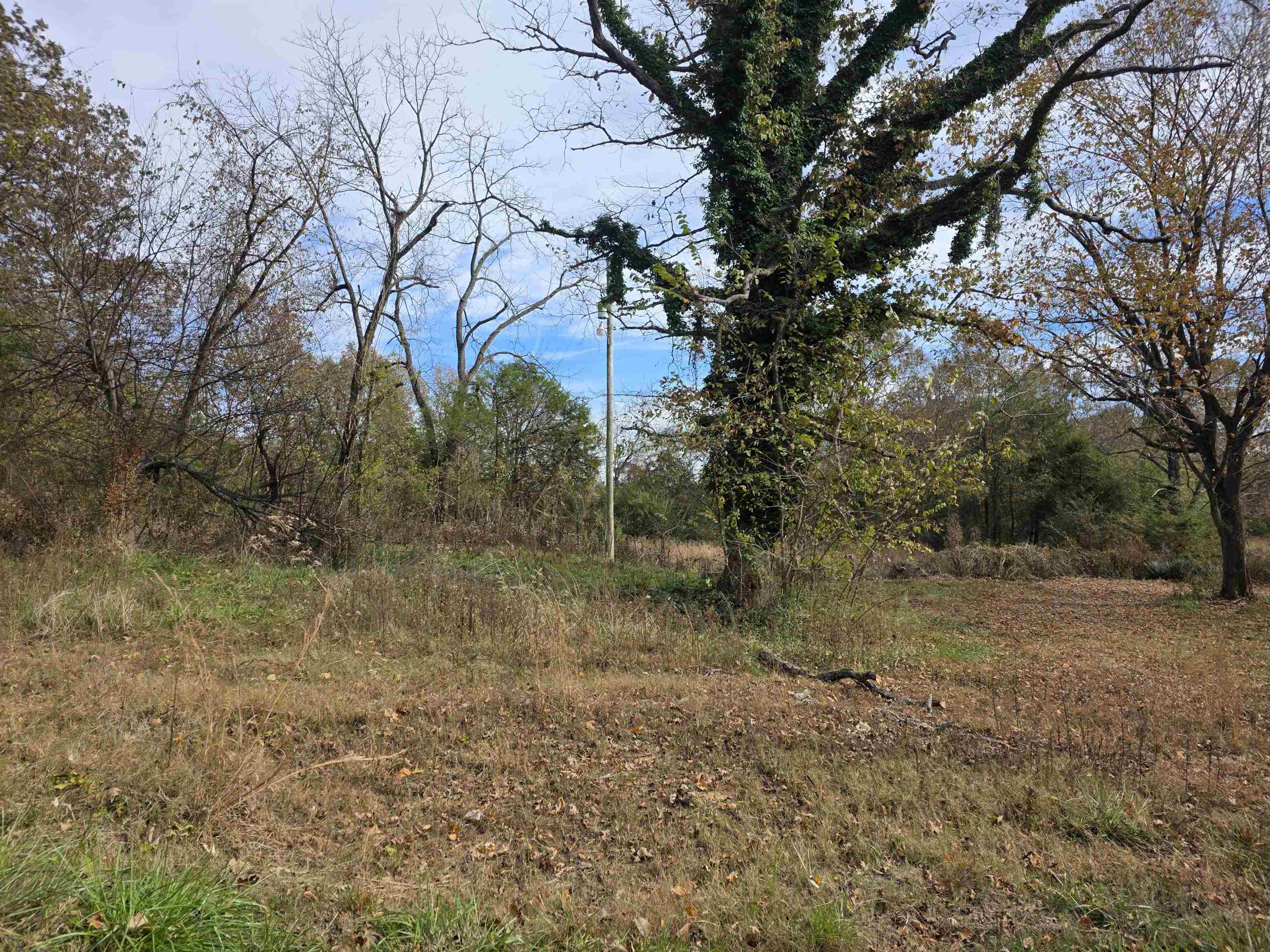 270 E Maxville  Cave City, AR