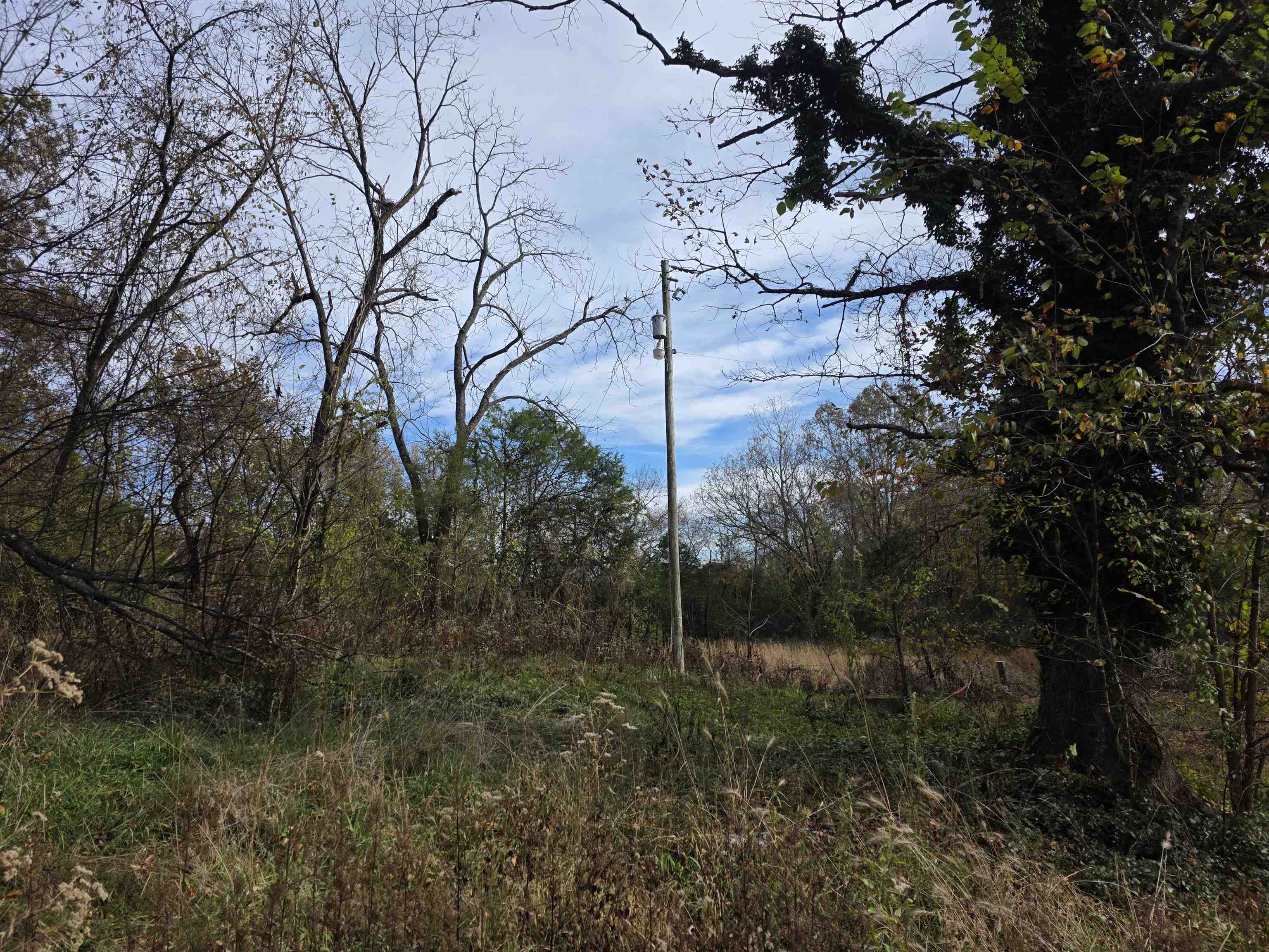 270 E Maxville  Cave City, AR