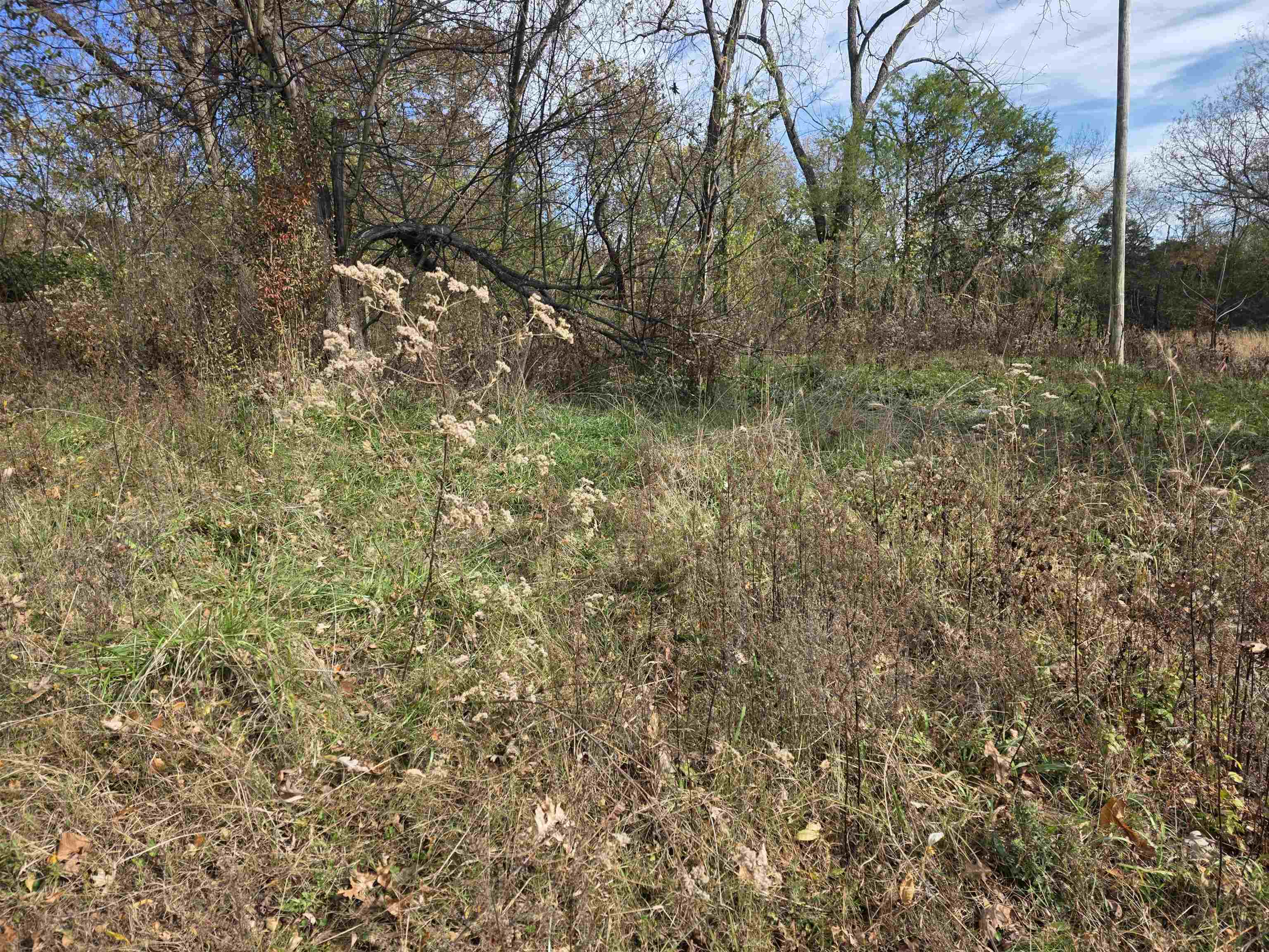 270 E Maxville  Cave City, AR